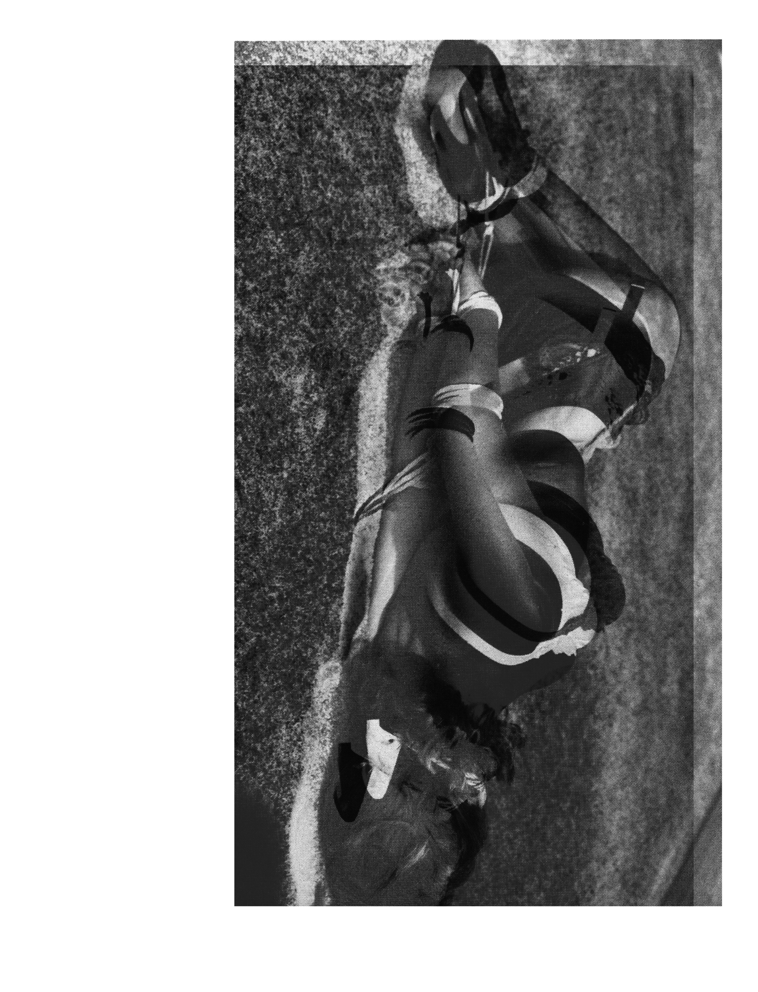 Untitled - 2025-01-02T150113.226.png