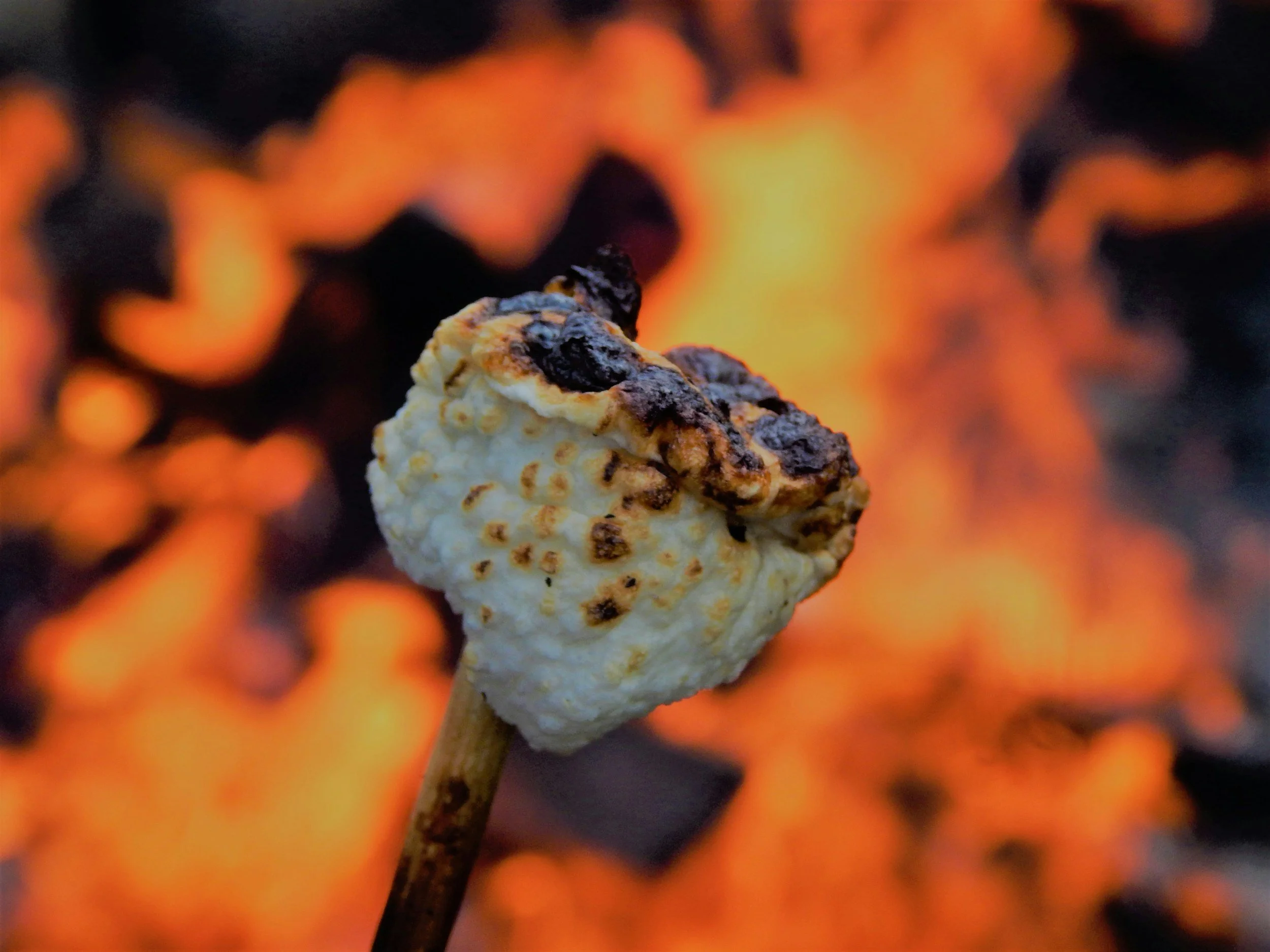 Real Marshmallows: French Guimauve with Marshmallow Root &amp; Slippery Elm