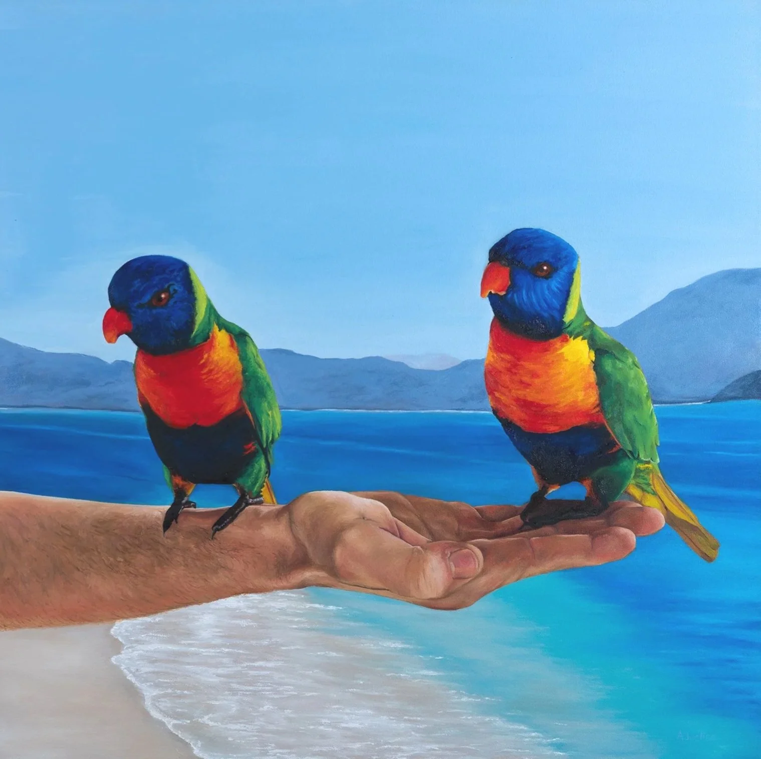 Curious Guest, 75cm x 75cm, Oil on Canvas