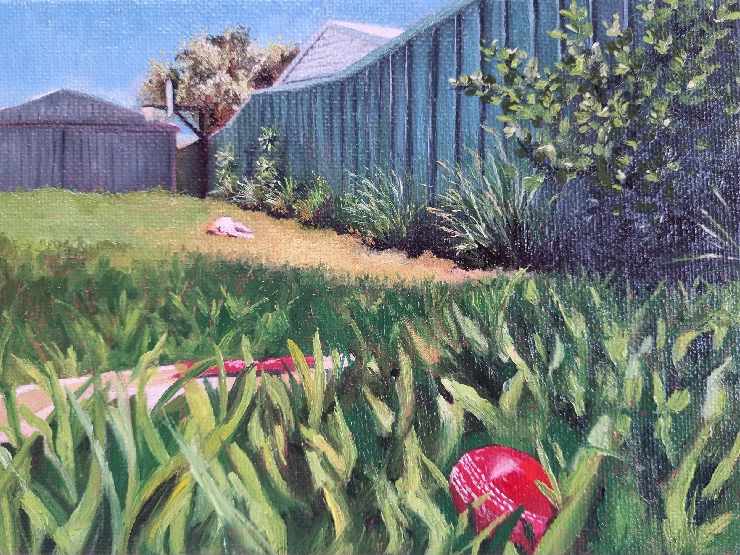 Howzat, 13cm x 18cm, Oil on Canvas Board