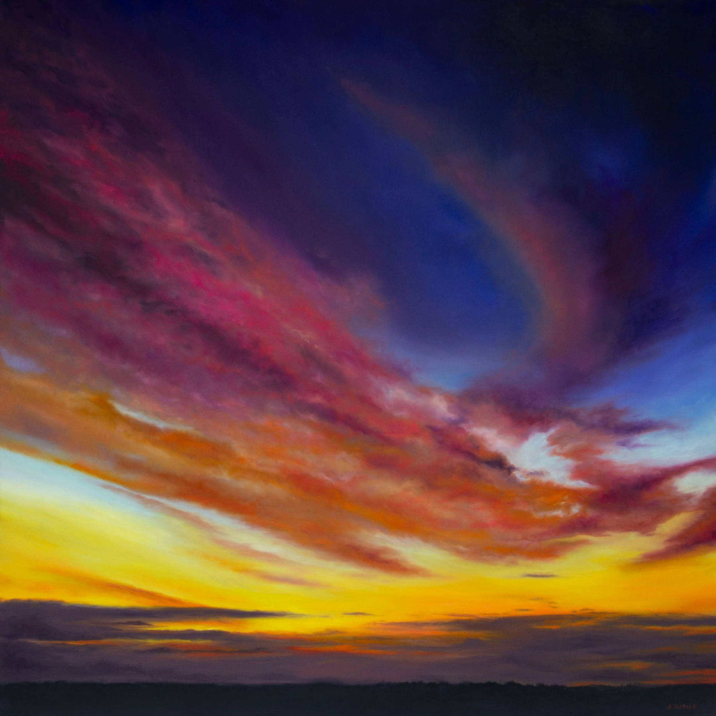 Untamed, 76cm x 76cm, Oil on Canvas