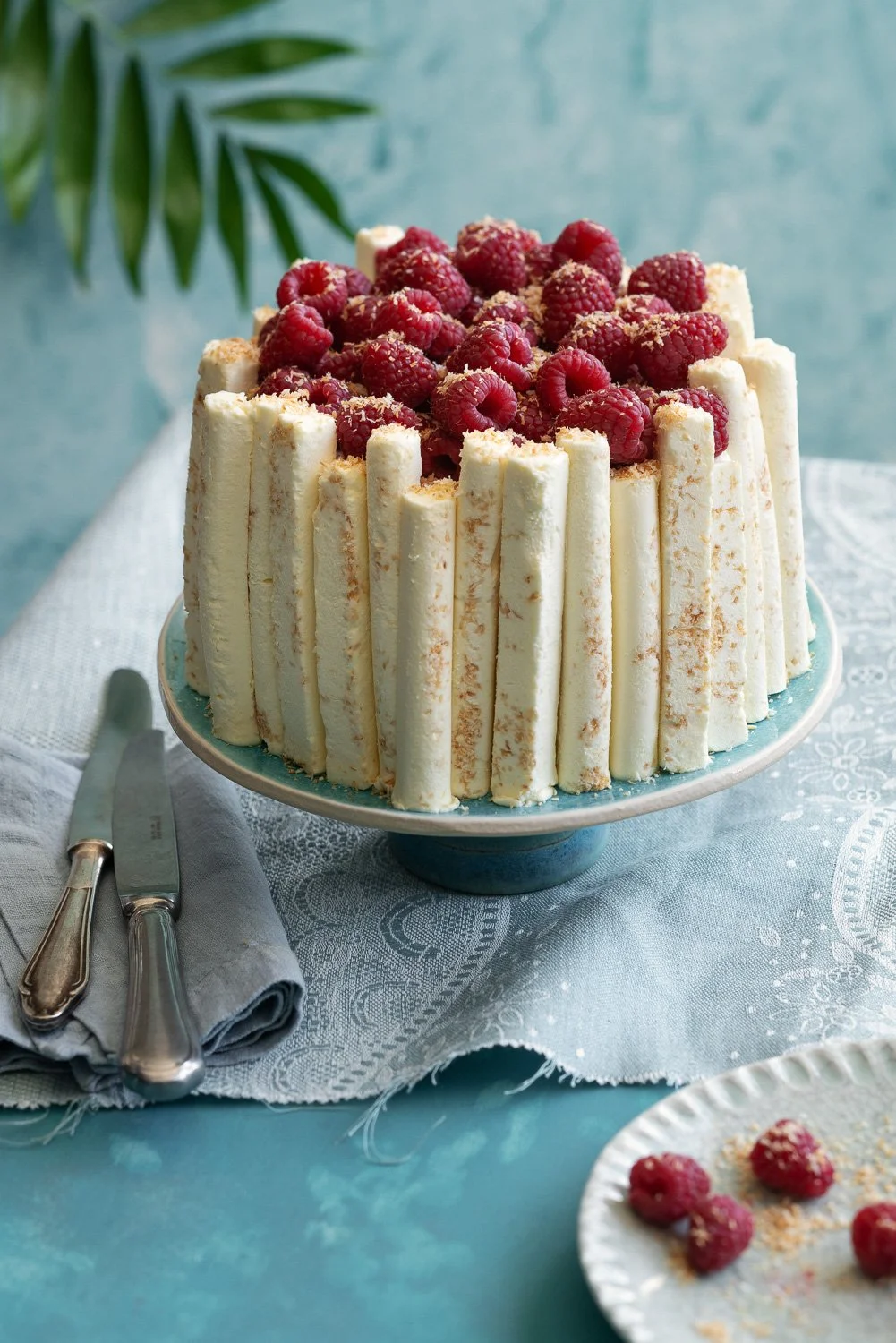 TORTA SEMIFREDDO AL COCCO E LAMPONI-01.jpg