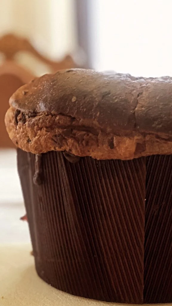 23254EB0-CD5C-46E3-83B2-AA5CE1603B36 copia.jpg