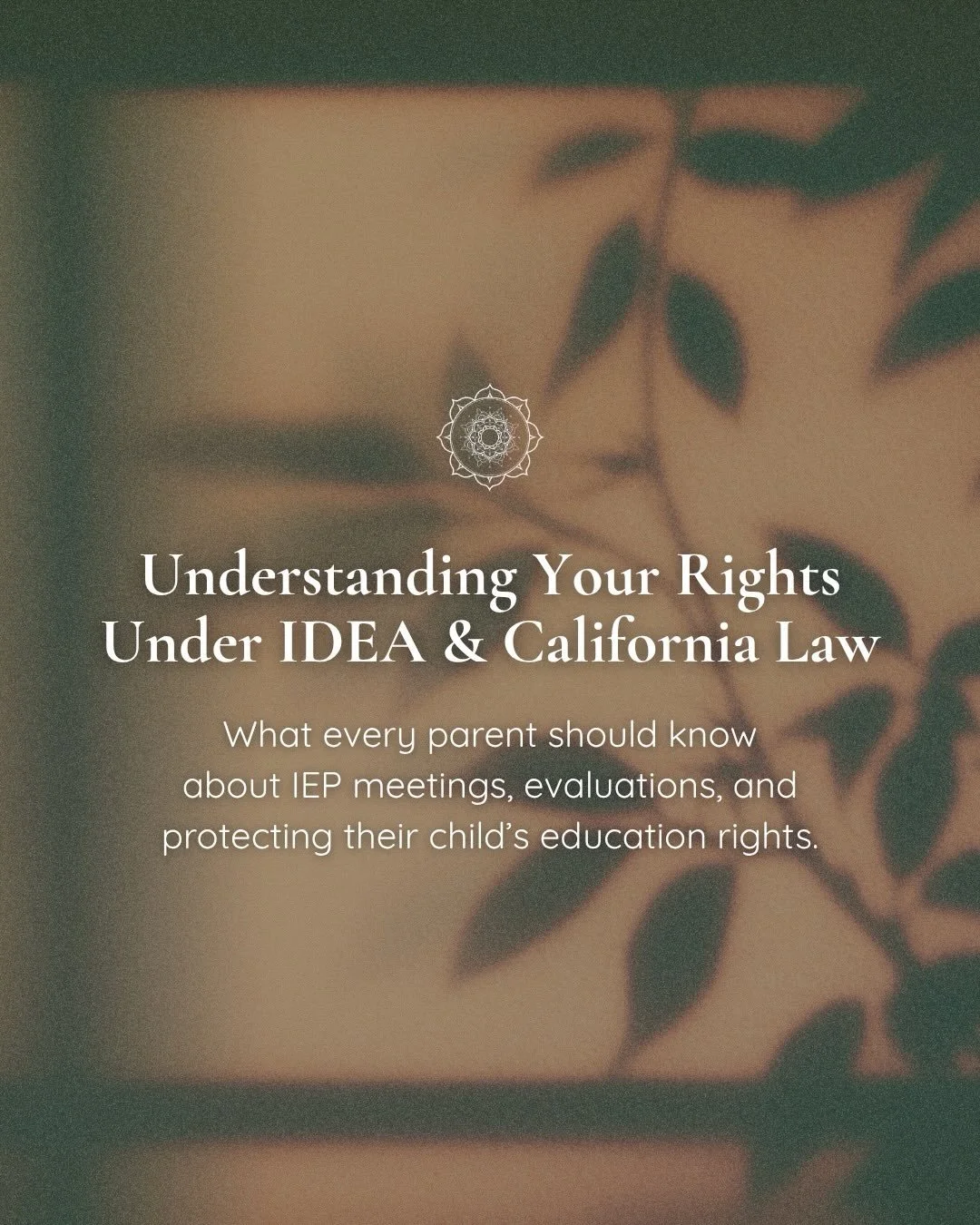 Many parents don&rsquo;t realize how many legal rights they actually have in the IEP process.

Under IDEA and California law, parents have the right to:
✔️ Participate in IEP meetings
✔️ Review educational records
✔️ Request Independent Educational E