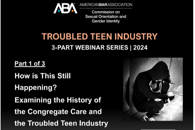 Amanda Simmons moderates ABA panel "How Is This Still Happening? Examining the History of the Troubled Teen Industry" (Webinar 1)