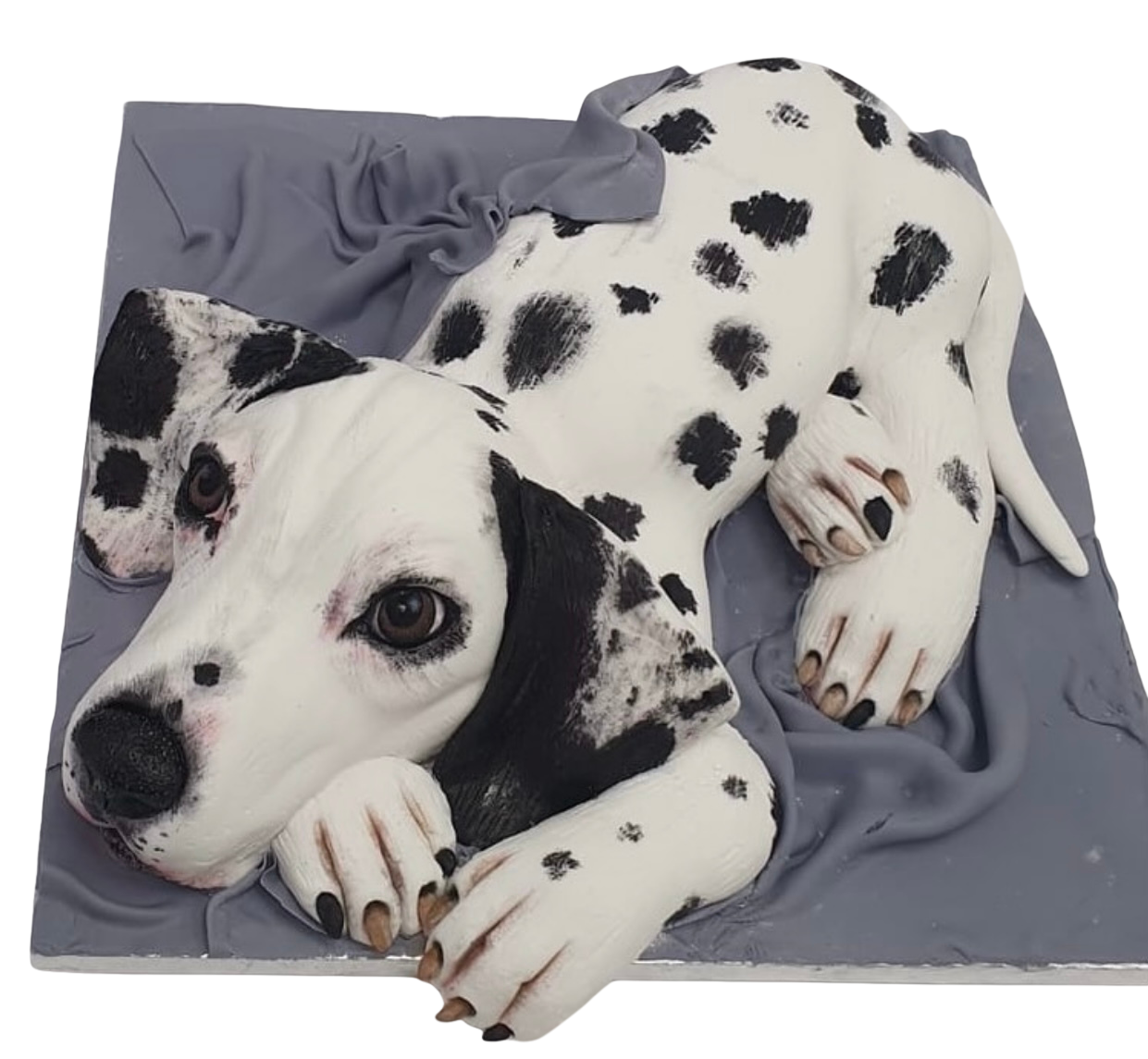 Dalmation Dog