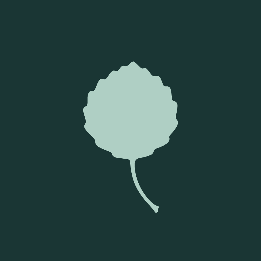 Fru.Blom_Blad_martinedesigner.png