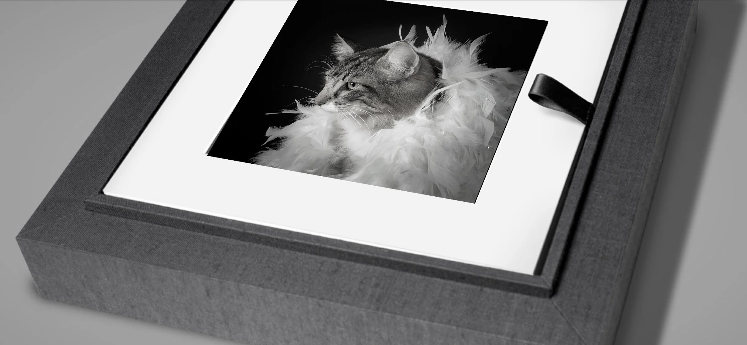 100% of My Clients Want More Photos Than They Realised!