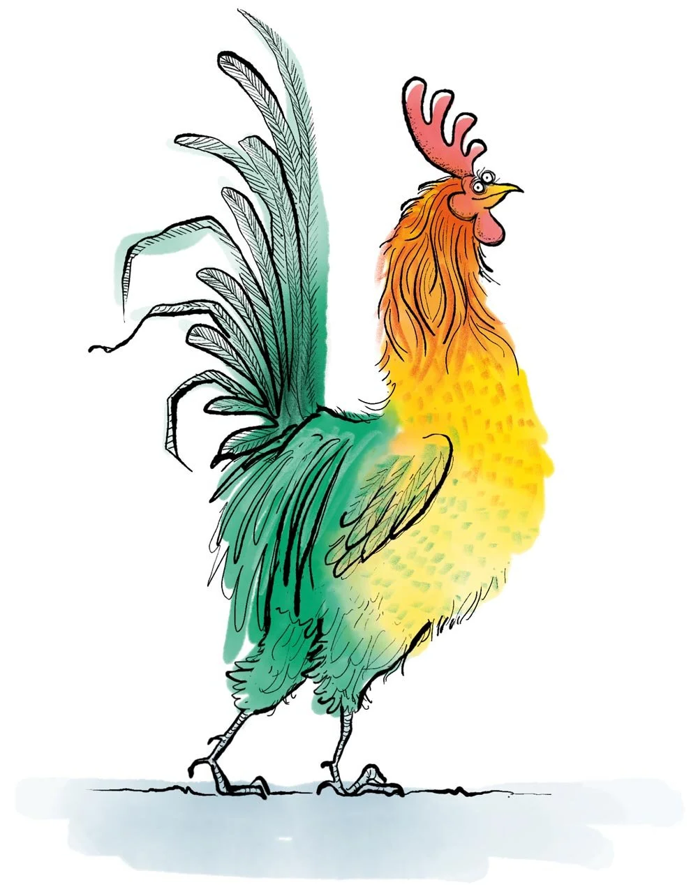 comical illustration of a proud rooster standing against a white background