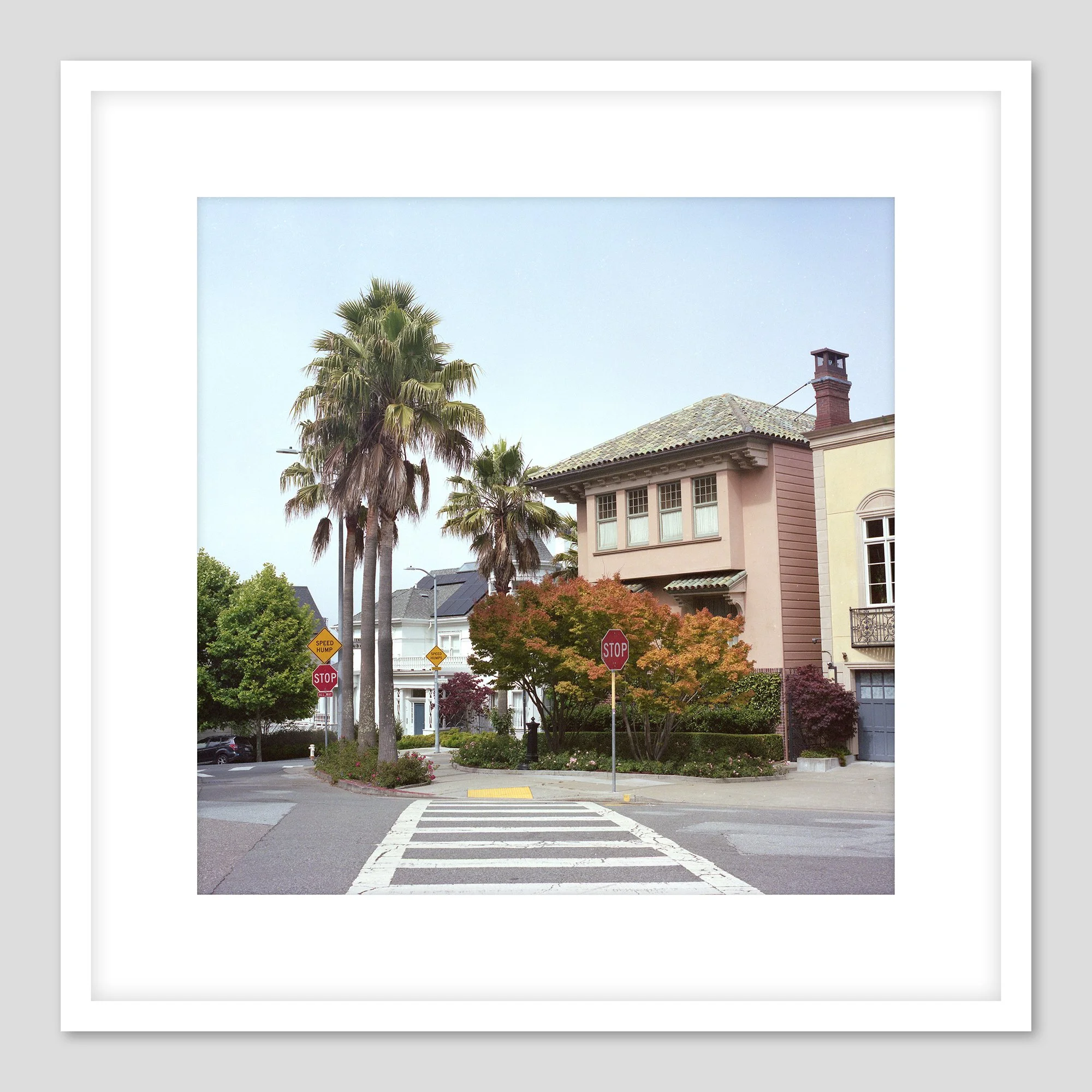 California framed print #8 - SF palms