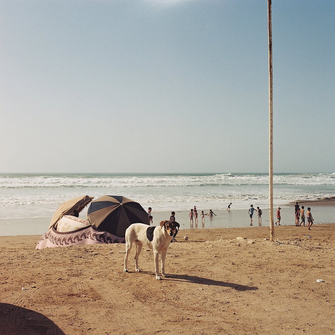 A few shots from Morocco a couple of months ago - the beach of Anza, on the south west coast above Agadir, and the incredible @concretejunglefoundation skatepark at @centrefiersetforts children&rsquo;s home in Tameslouht, outside Marrakech. ⁣
⁣
#film