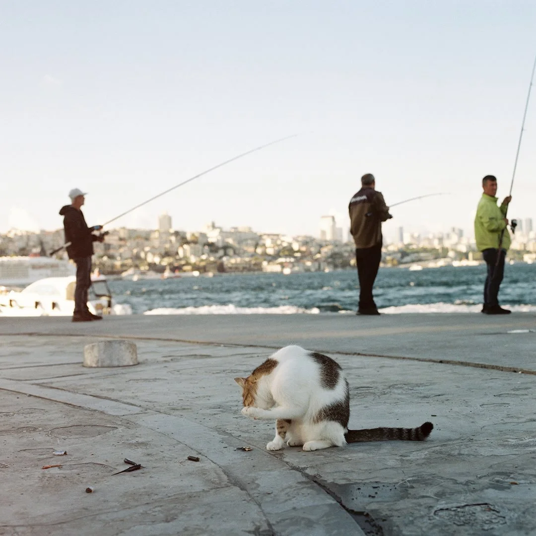 A few moments from Istanbul recently - some that just about survived the CT scanners saga&hellip;⁣
⁣
@lensfayre #filmaintdead #hasselblad500cm #istanbulonfilm