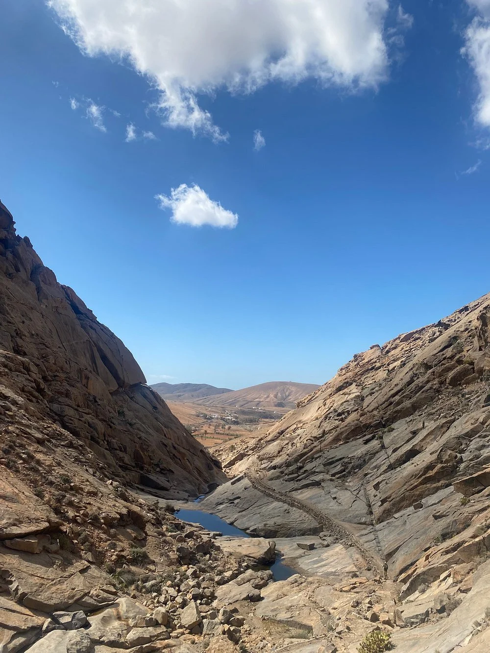 landscape.jpg