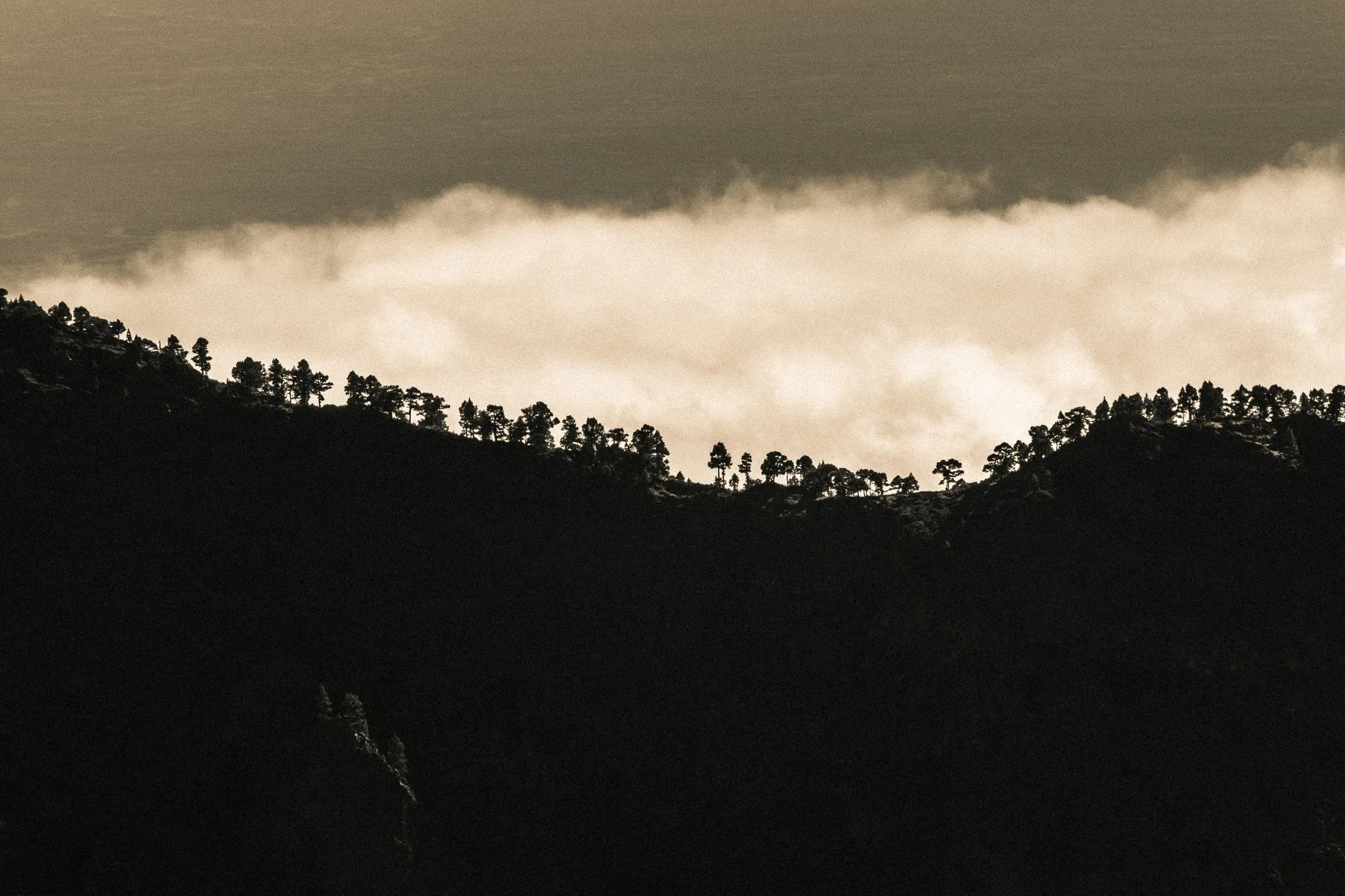 Black and white images showing the national parc Caldera de Taburiente of La Palma.

#landscape_photography #fujifilmxpro3 #blackandwhitephotography