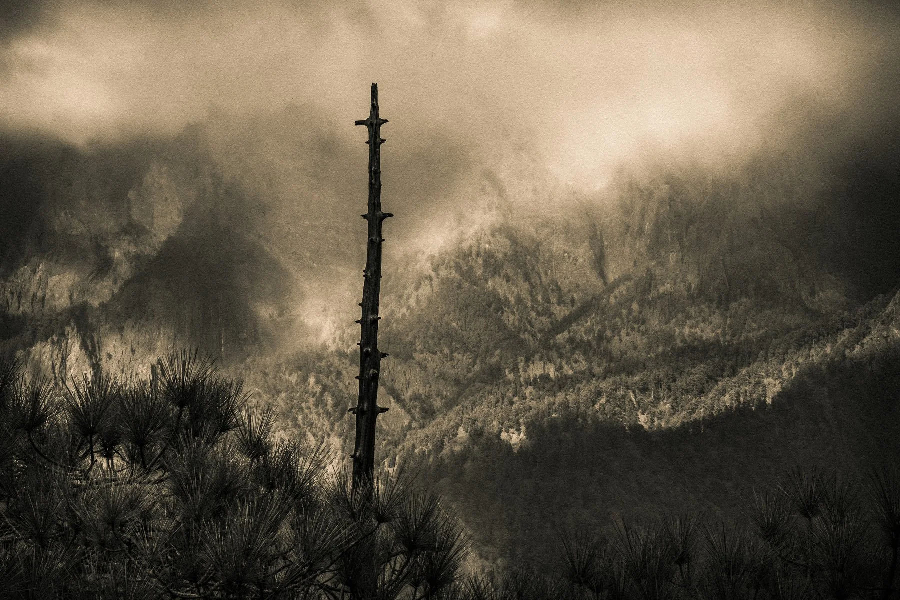 Parque Nacional de la Caldera de Taburiente, La Palma