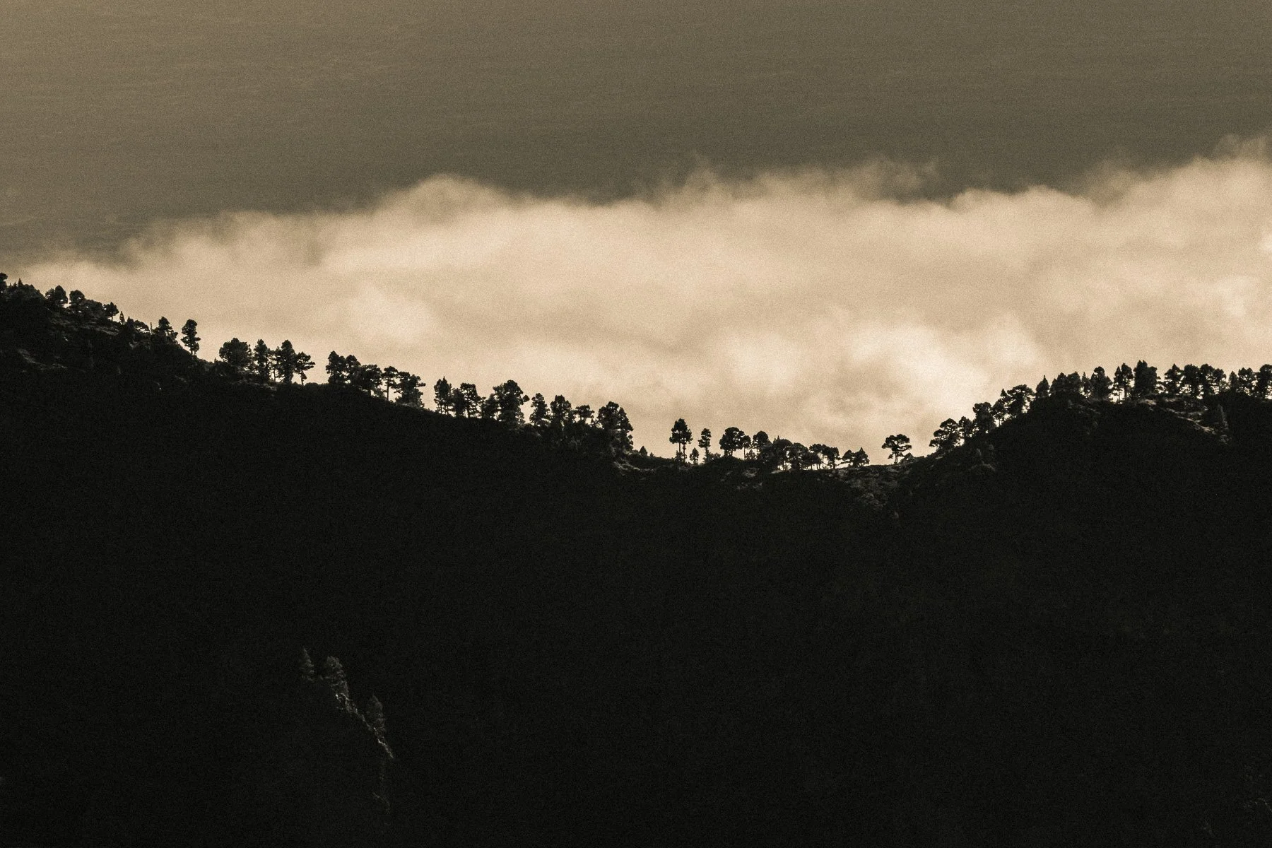 Parque Nacional de la Caldera de Taburiente, La Palma
