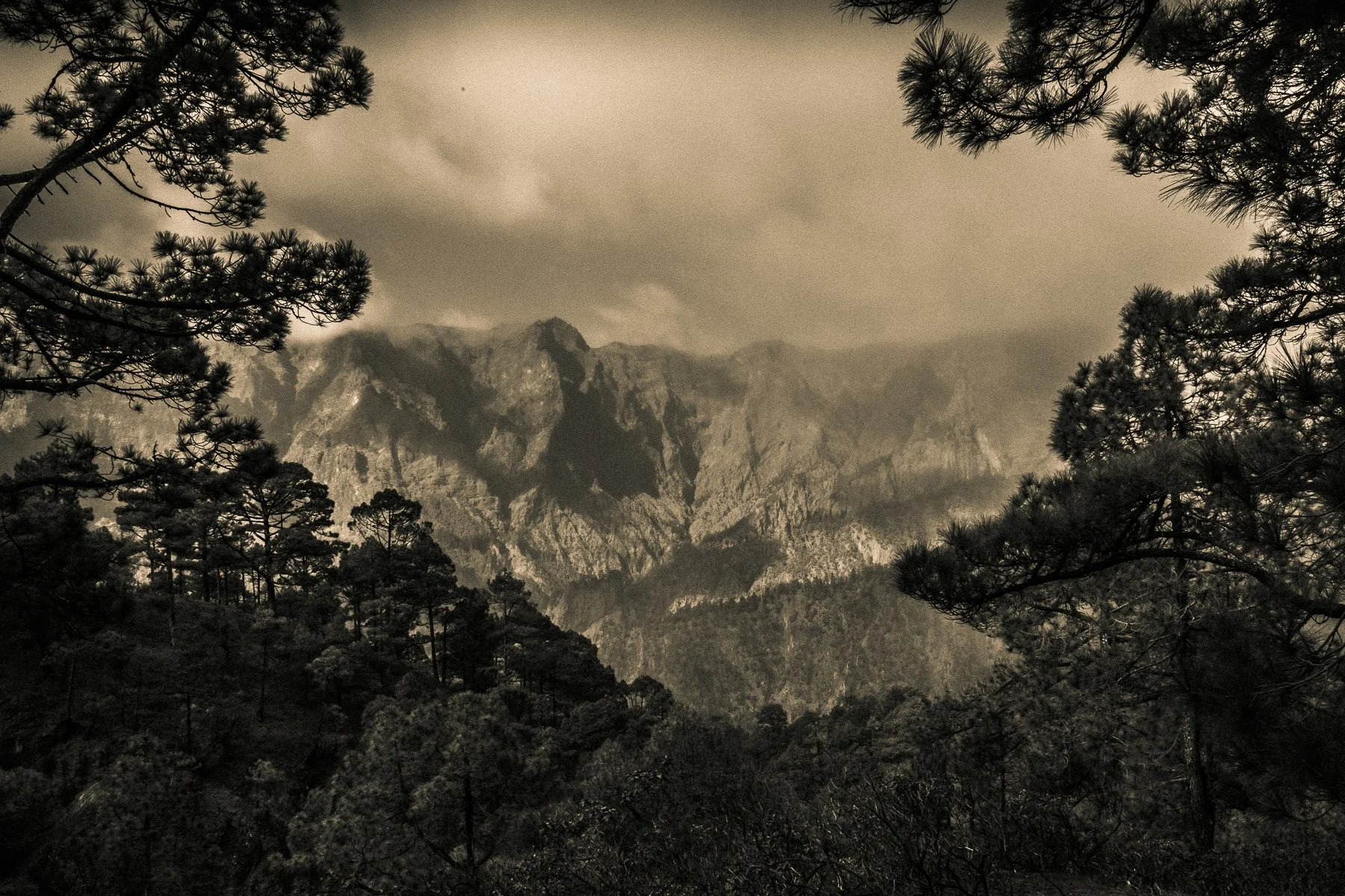 Parque Nacional de la Caldera de Taburiente, La Palma