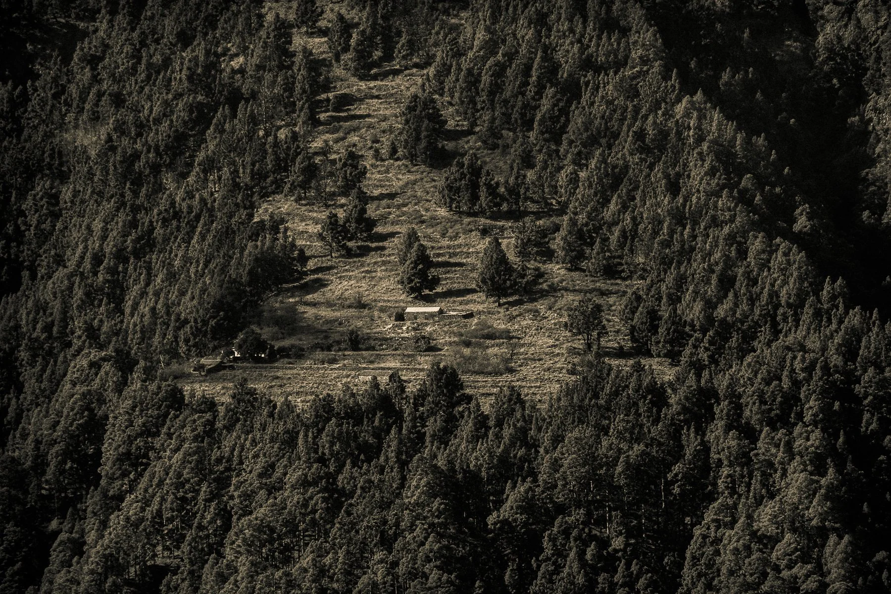 Parque Nacional de la Caldera de Taburiente, La Palma