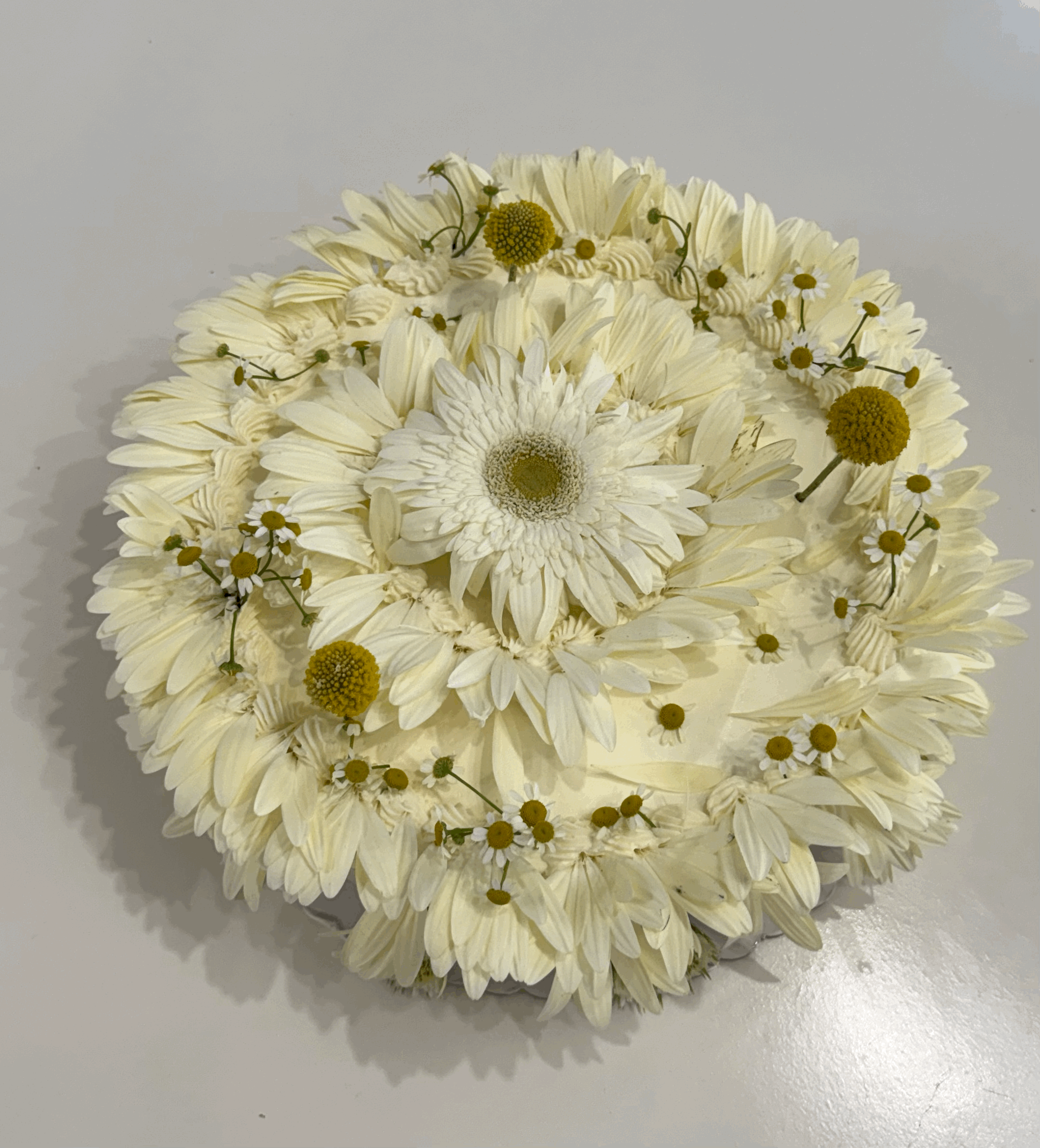 tempImageHX8glh.gif