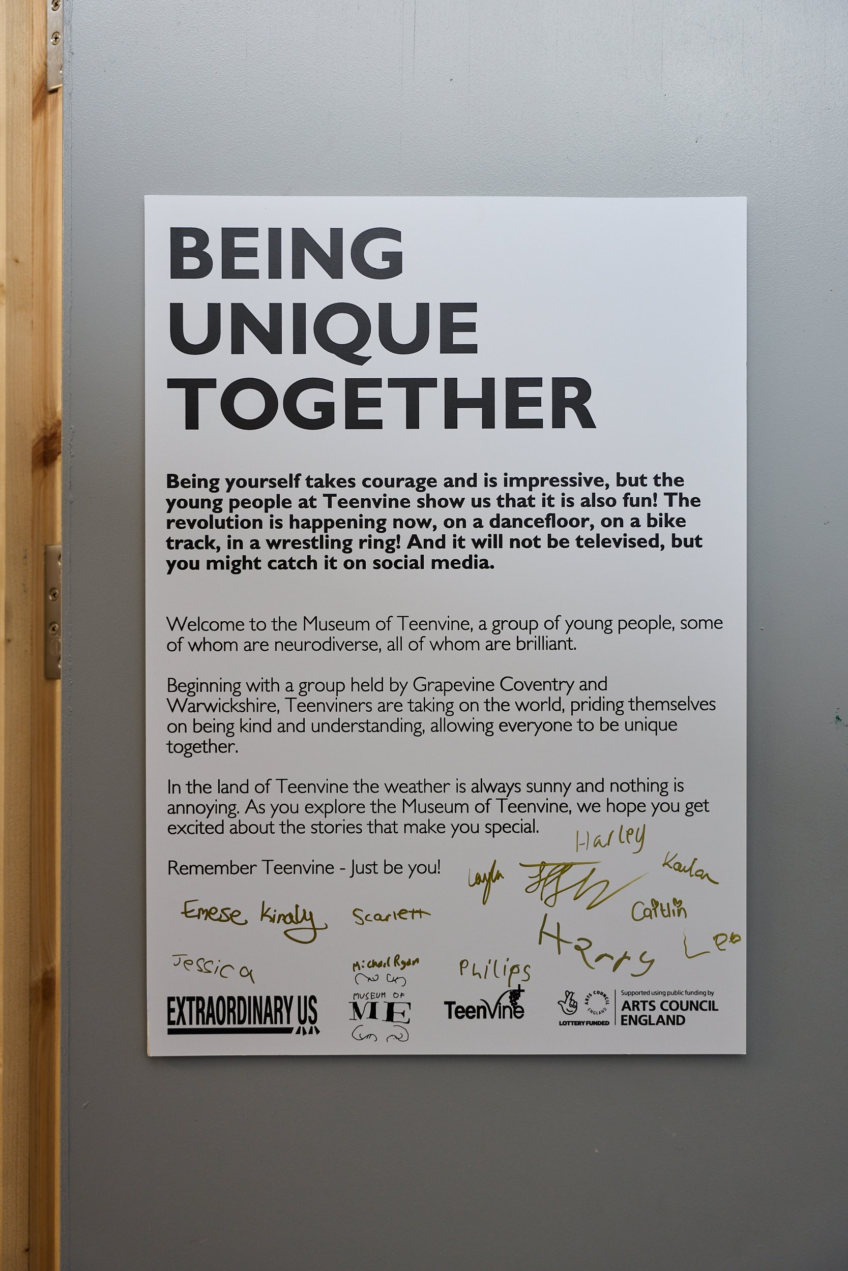 Museum_of_Me_TeenVine_280626_01287_Credit_Andrew_Moore.jpg