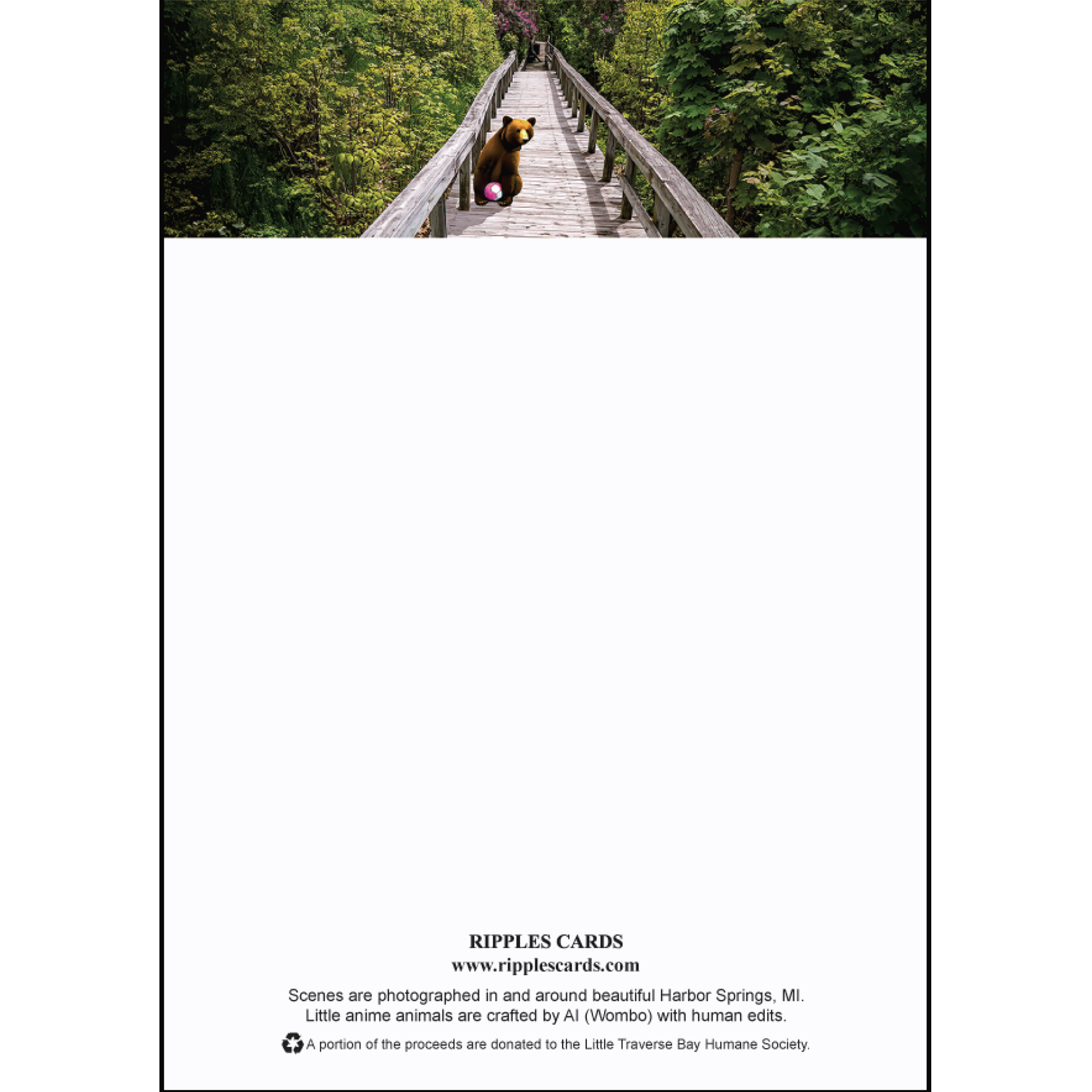 Bear on Boardwalk Post it - 2500x2500.gif