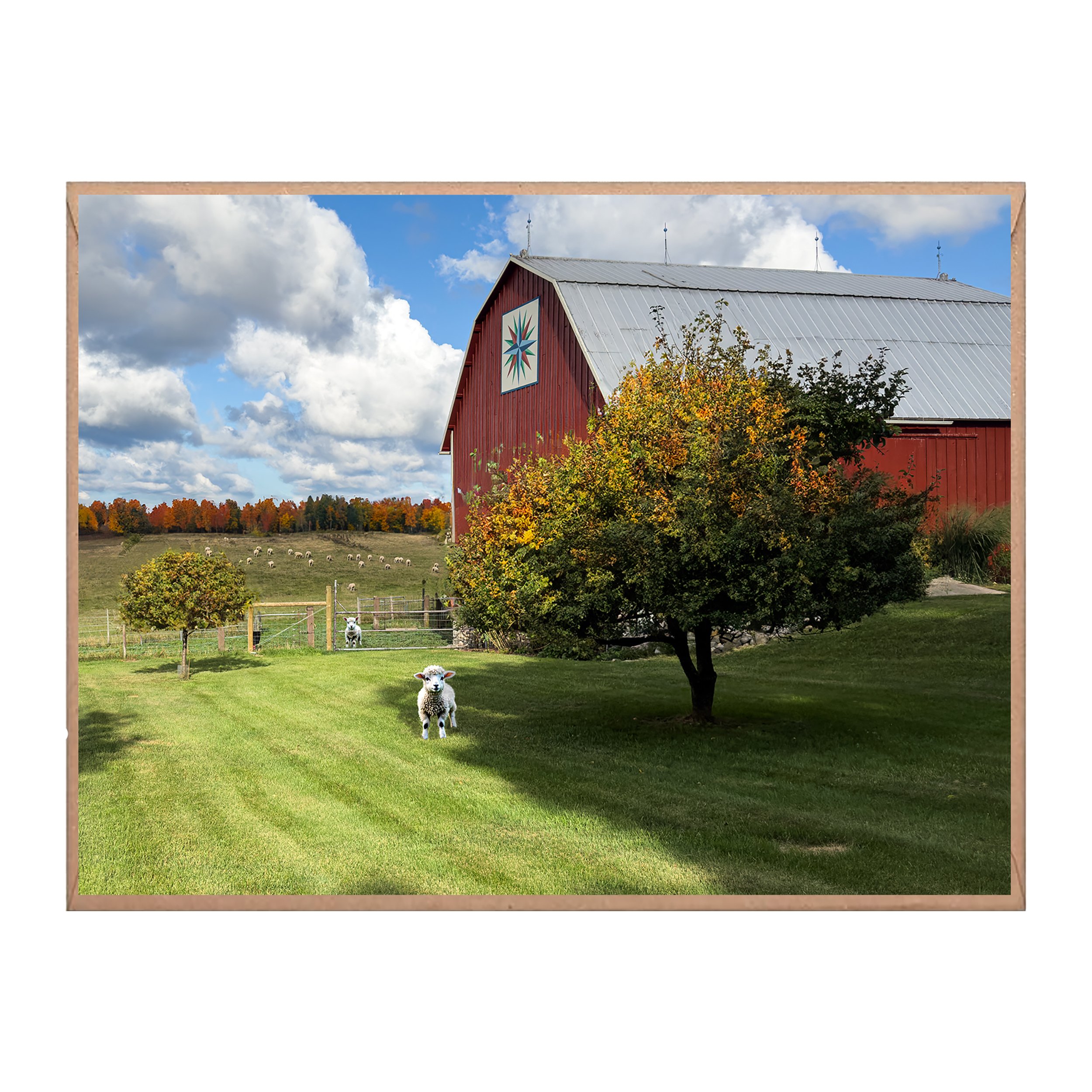 Autumn at Angell Farm with Envelope 2500x2500.jpg