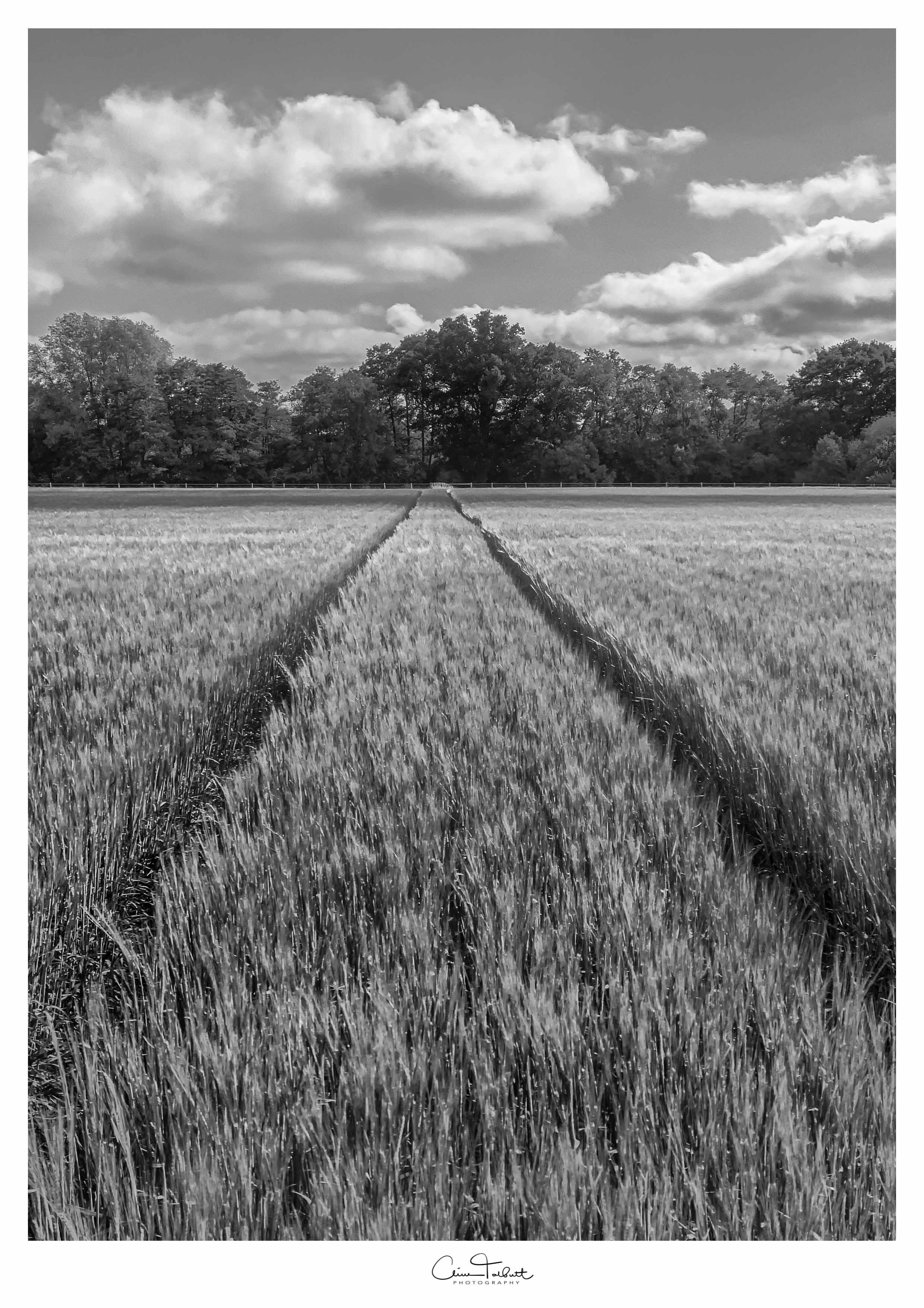 B&W-2.jpg