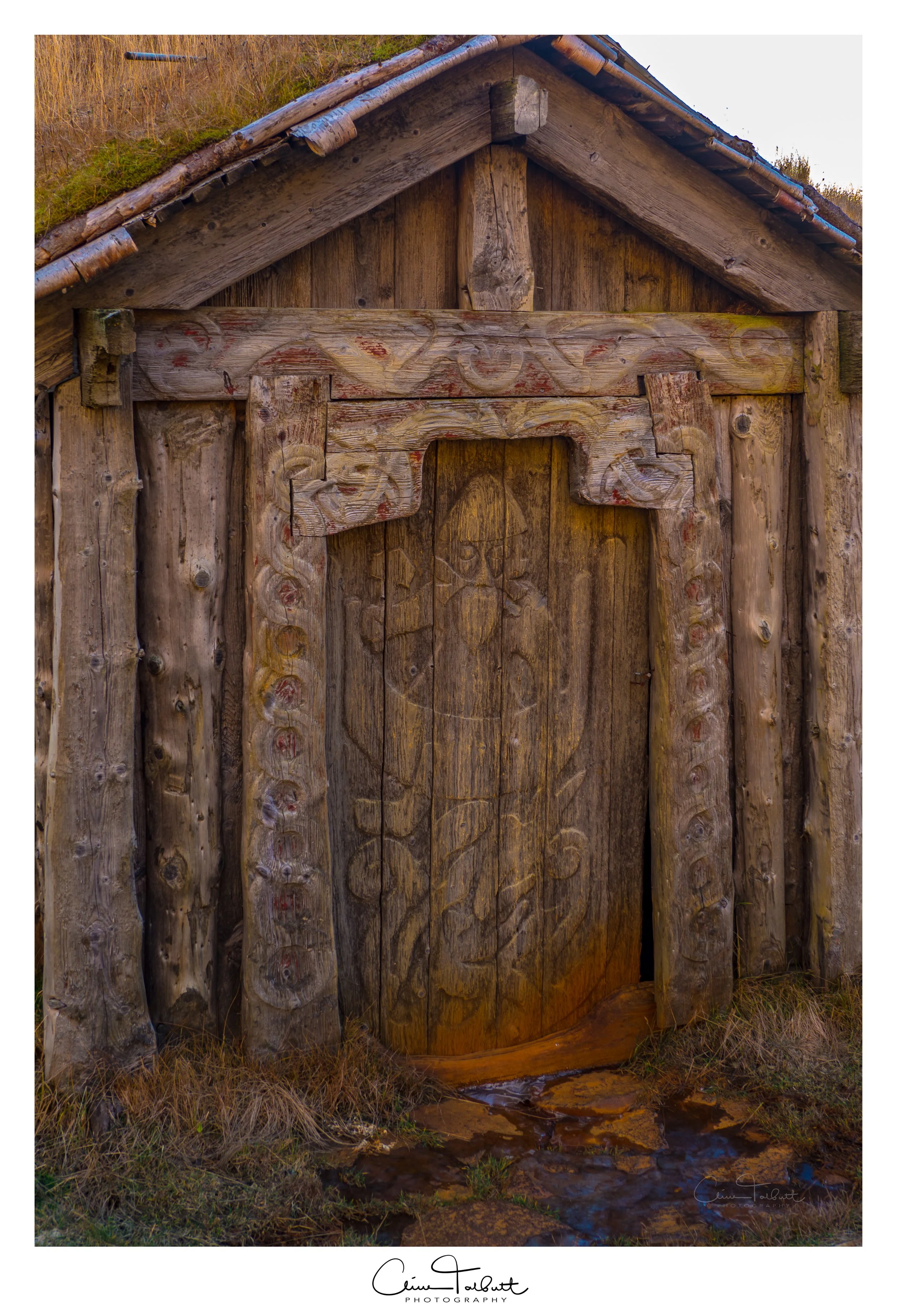 door 1.jpg