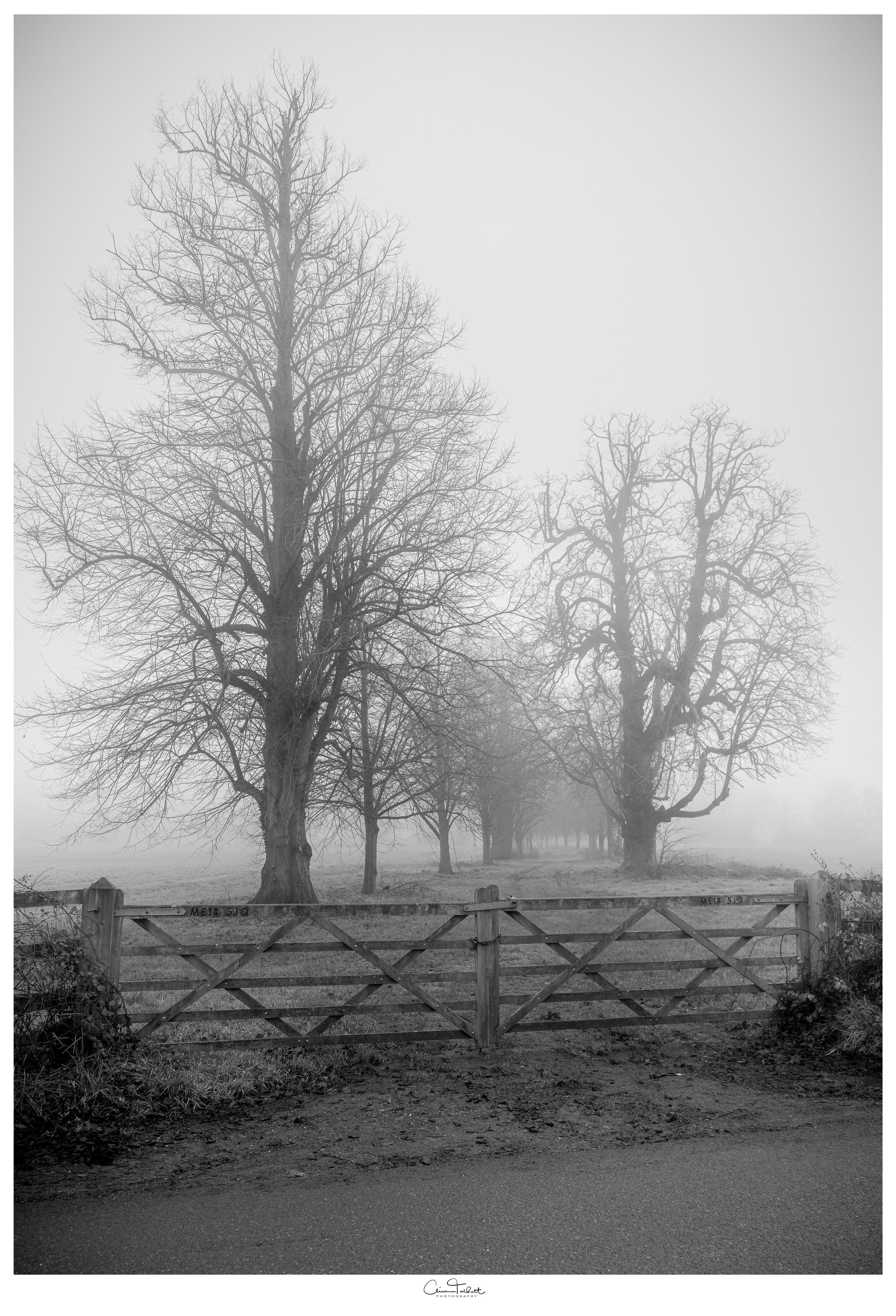B&W3-2.jpg