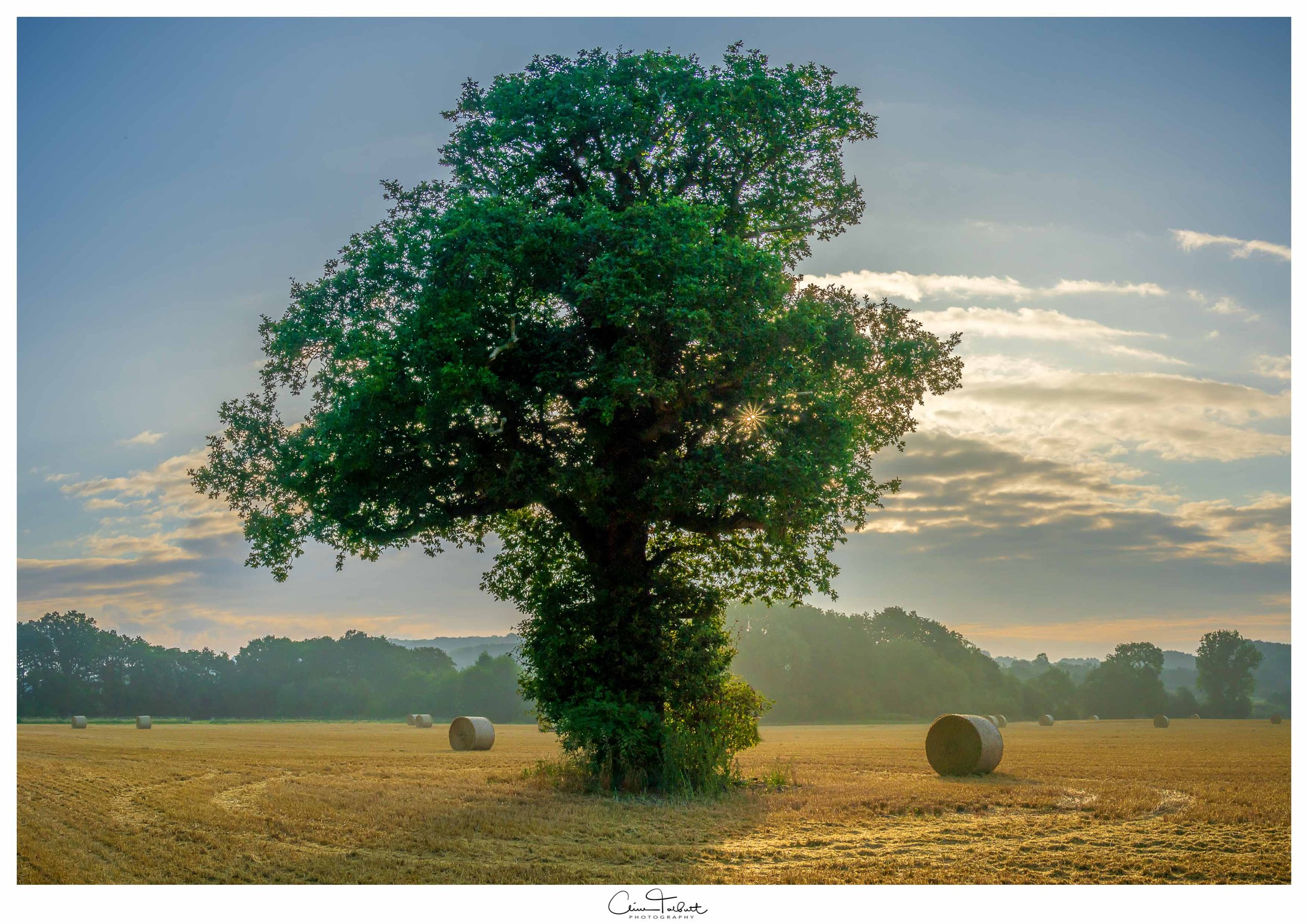 misty sunrise 2.jpg