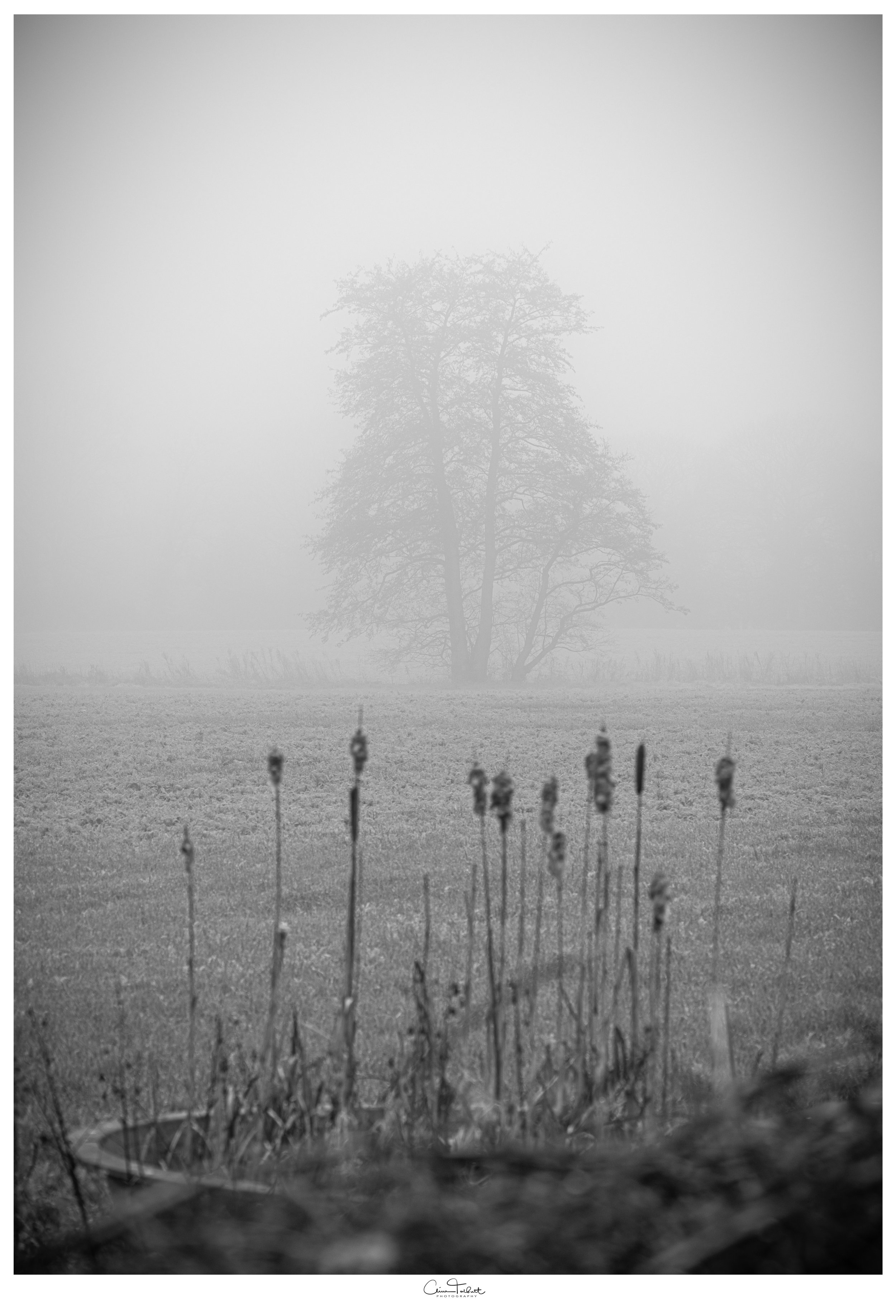 B&W3-3.jpg