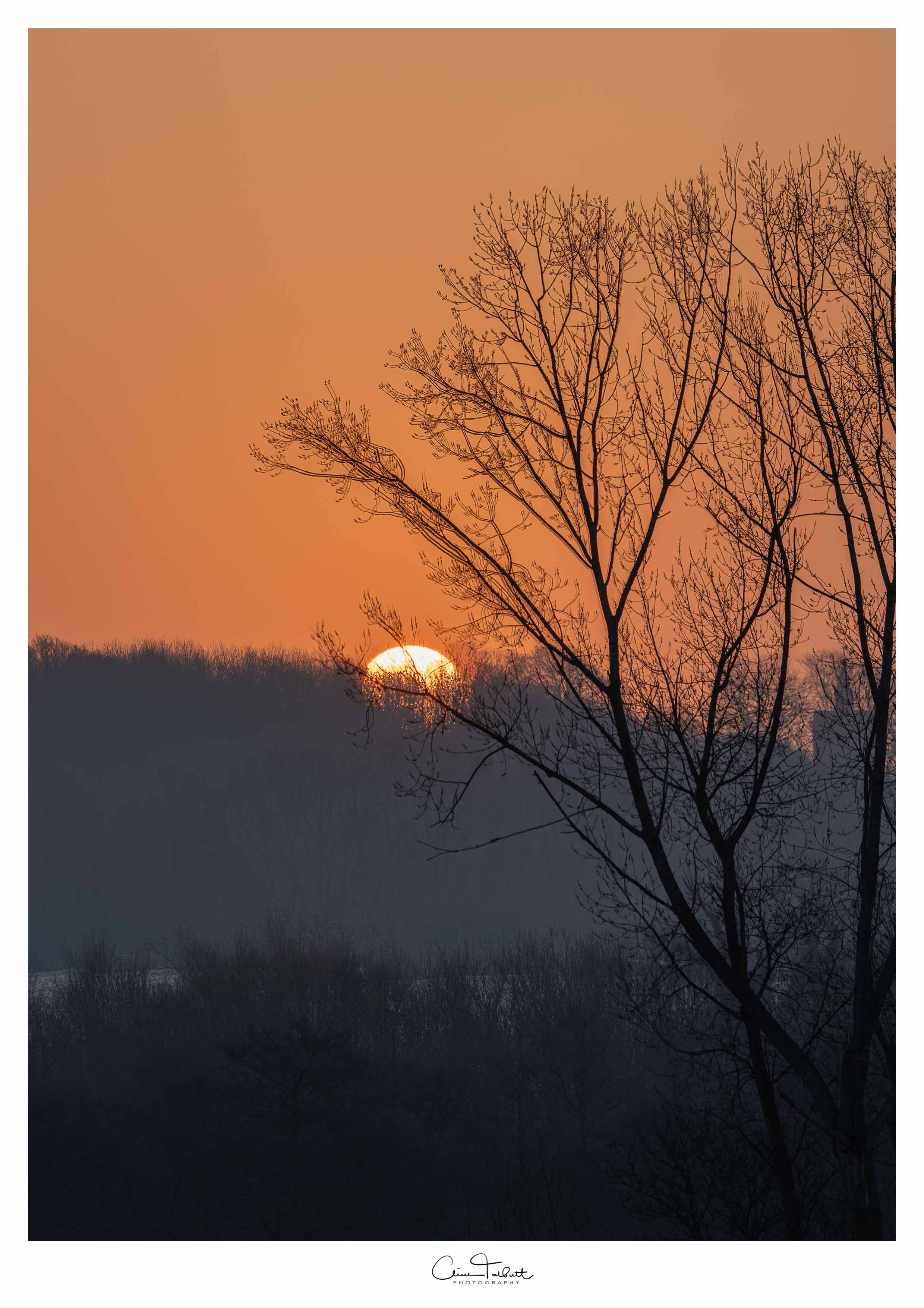 across the valley 2.jpg