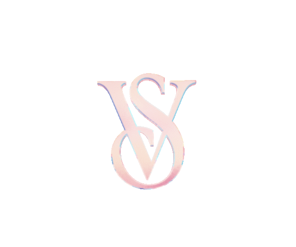 VS_LOGO_Holographic.gif