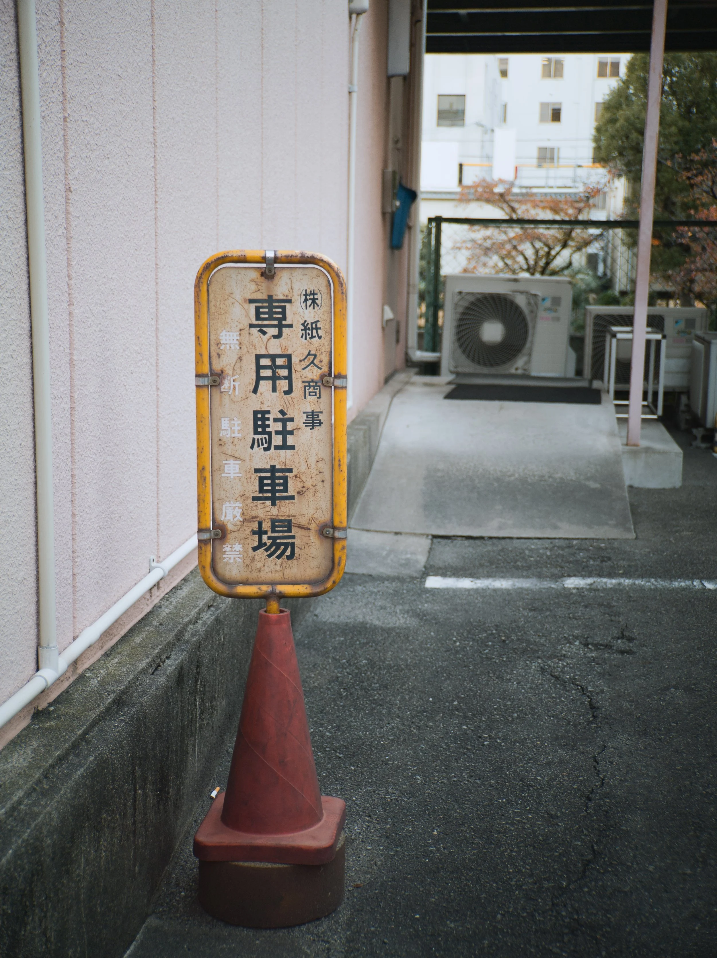 IMG_20241201_160234.jpg