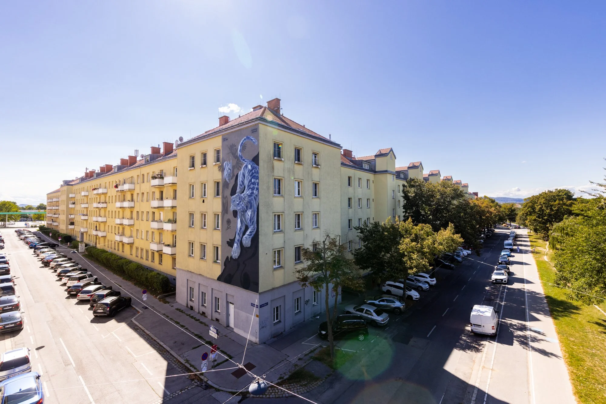 Nut_Moosbruggergasse2_Meidling_Youtopia_JollySchwarz_250824_0012.jpg