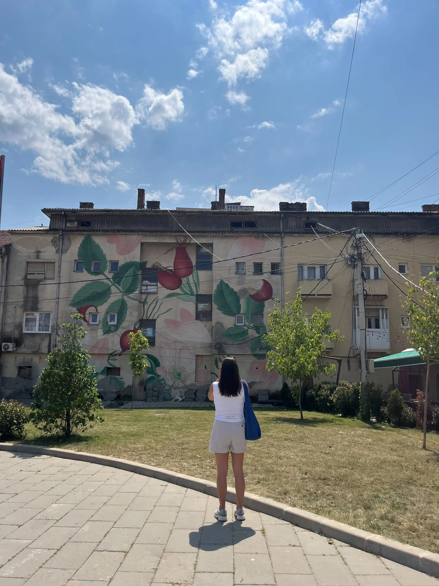 postcards from the calle libries | kosovo