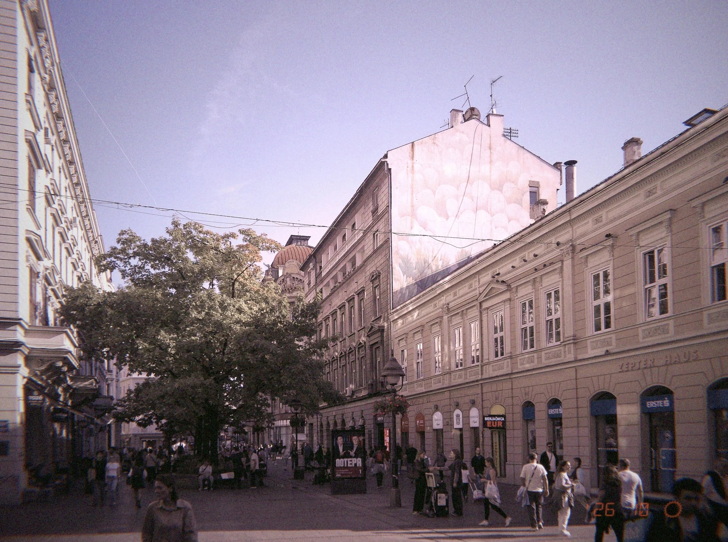 IMG_7754.jpeg