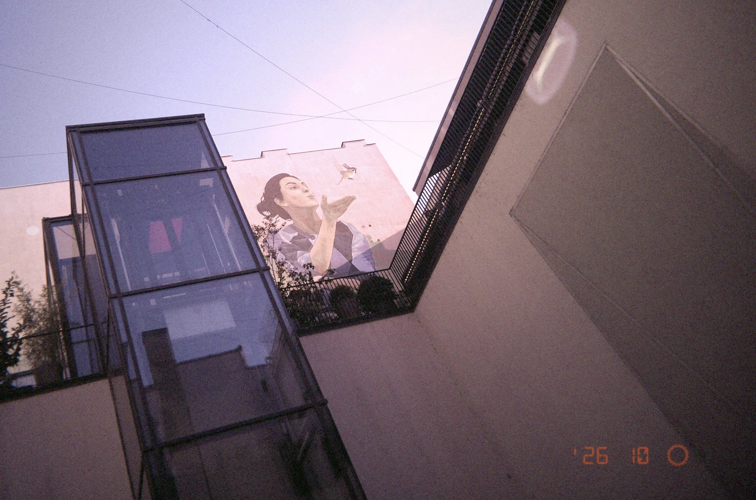 IMG_7784.jpeg