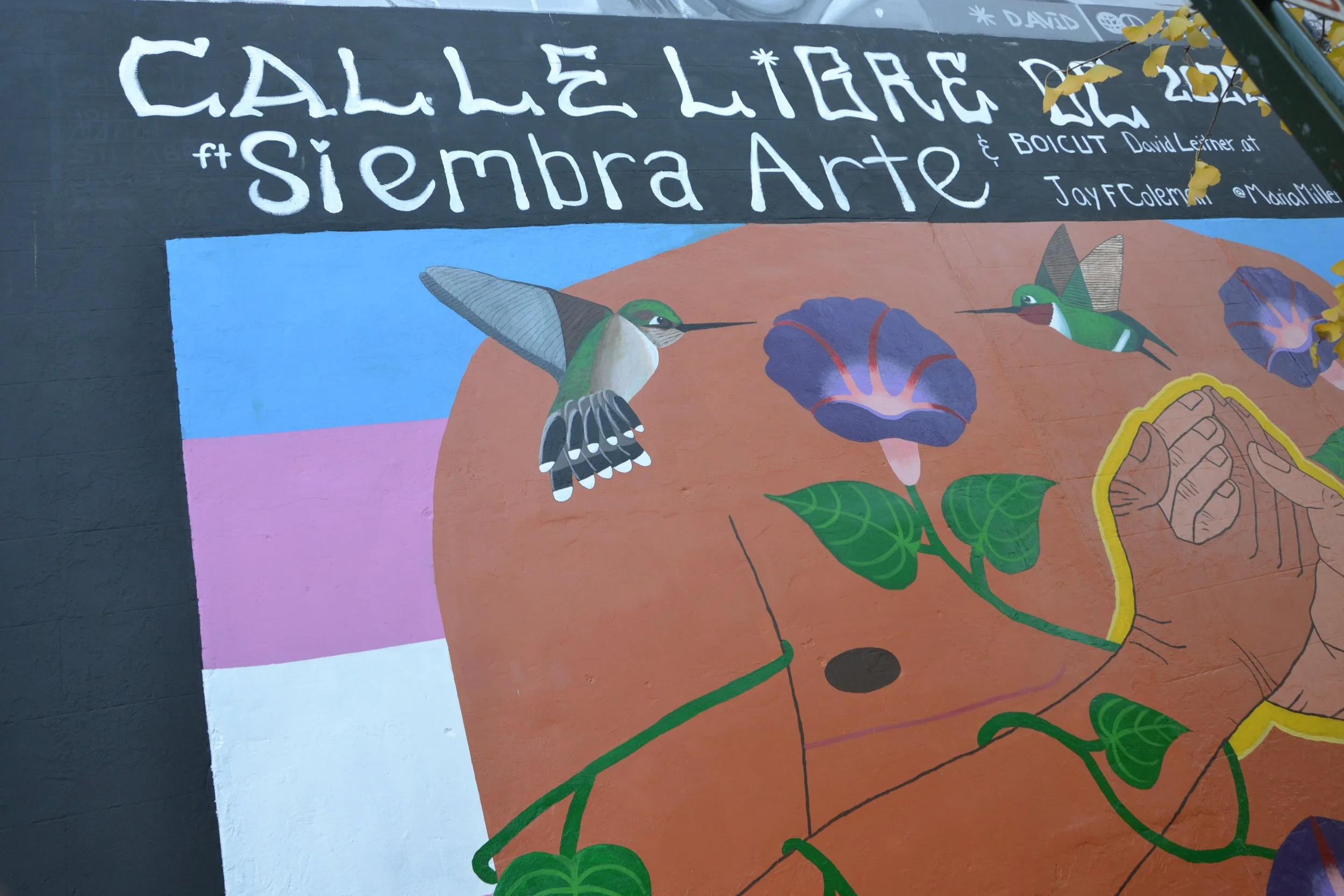 Edith Lopez-Estrada at the Calle Libre street art festival having its edition in Washington DC bringing together Austrian and American mural artists