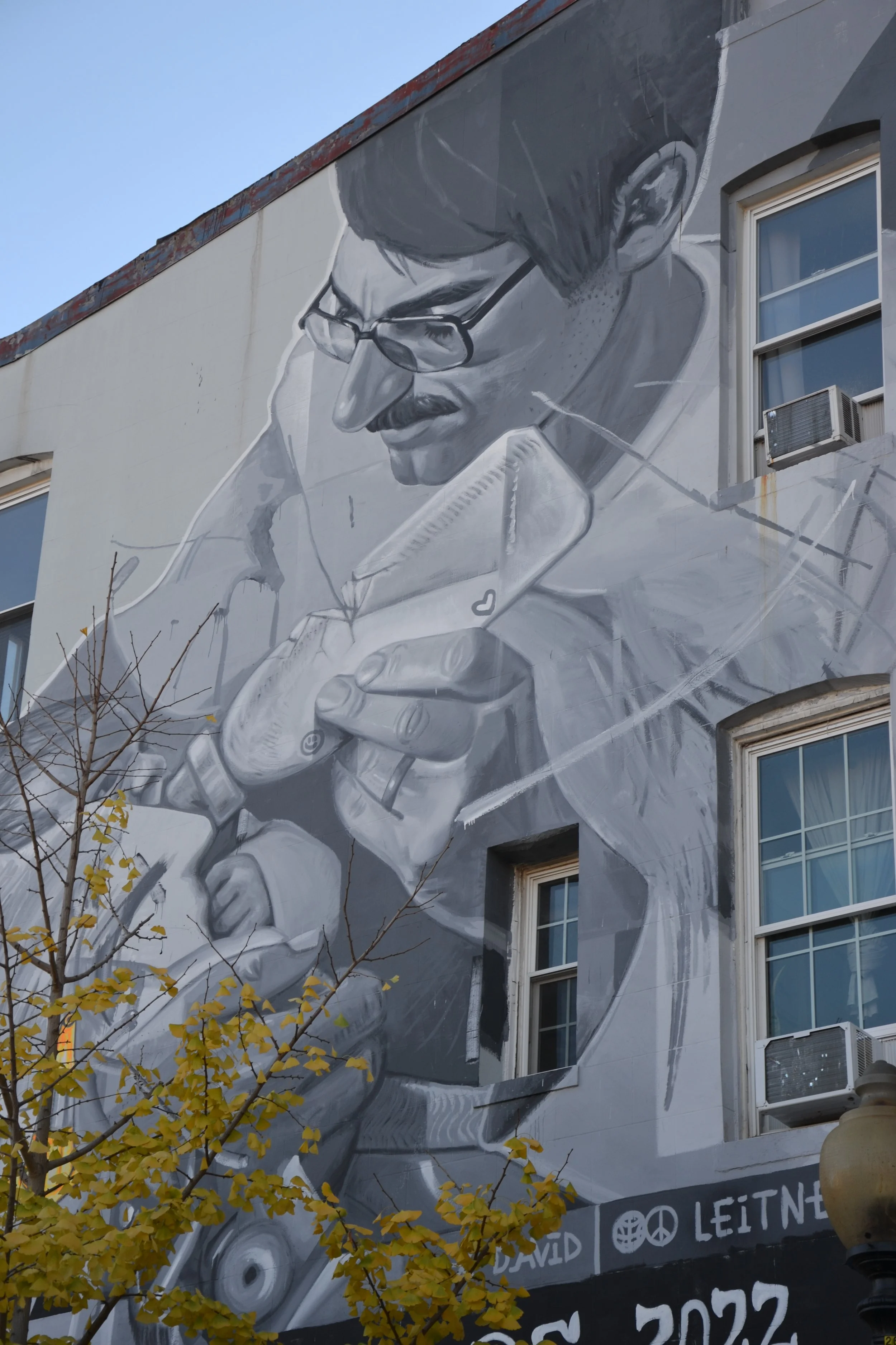 David Leitner at the Calle Libre street art festival having its edition in Washington DC bringing together Austrian and American mural artists