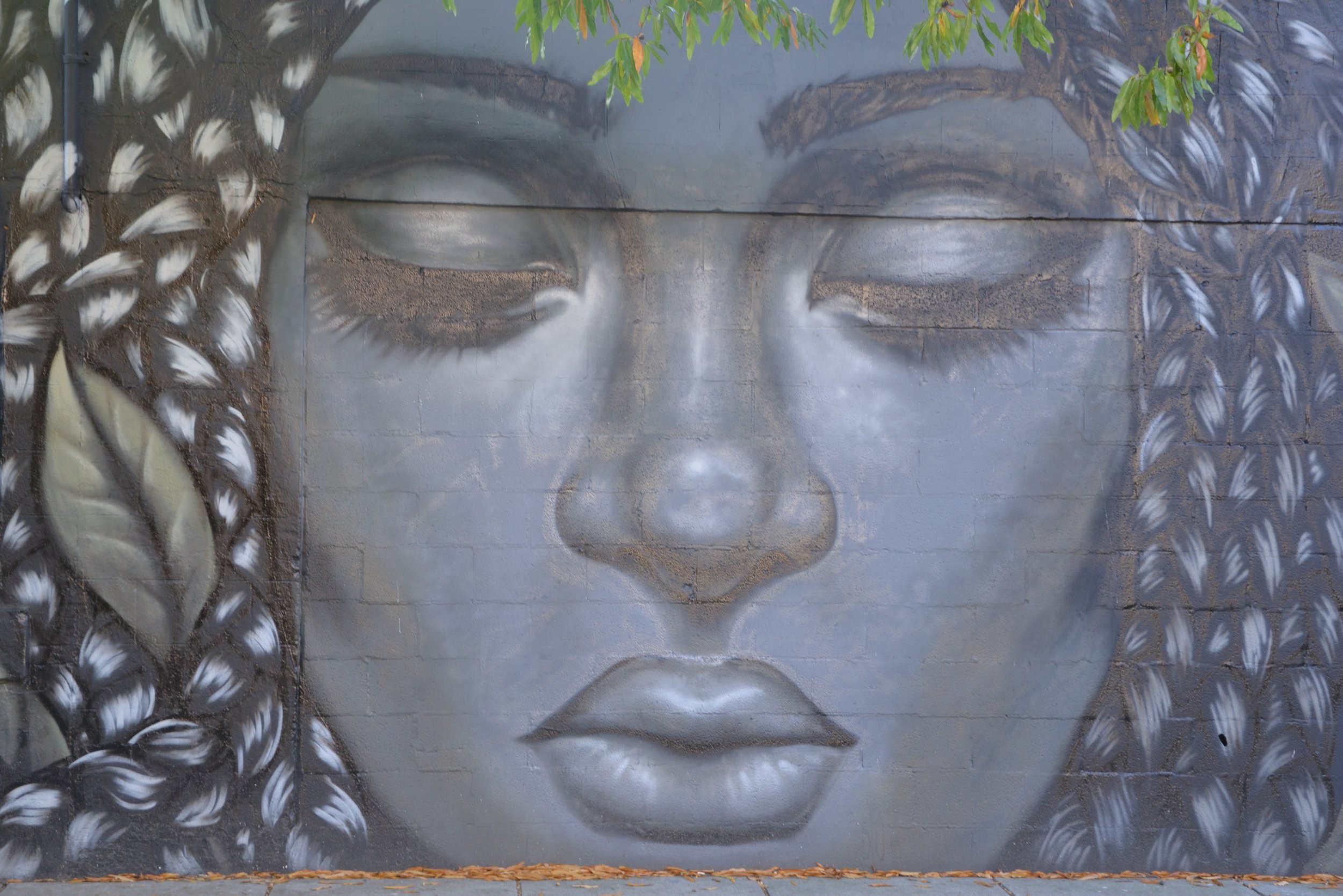 Maria Miller at the Calle Libre street art festival having its edition in Washington DC bringing together Austrian and American mural artists