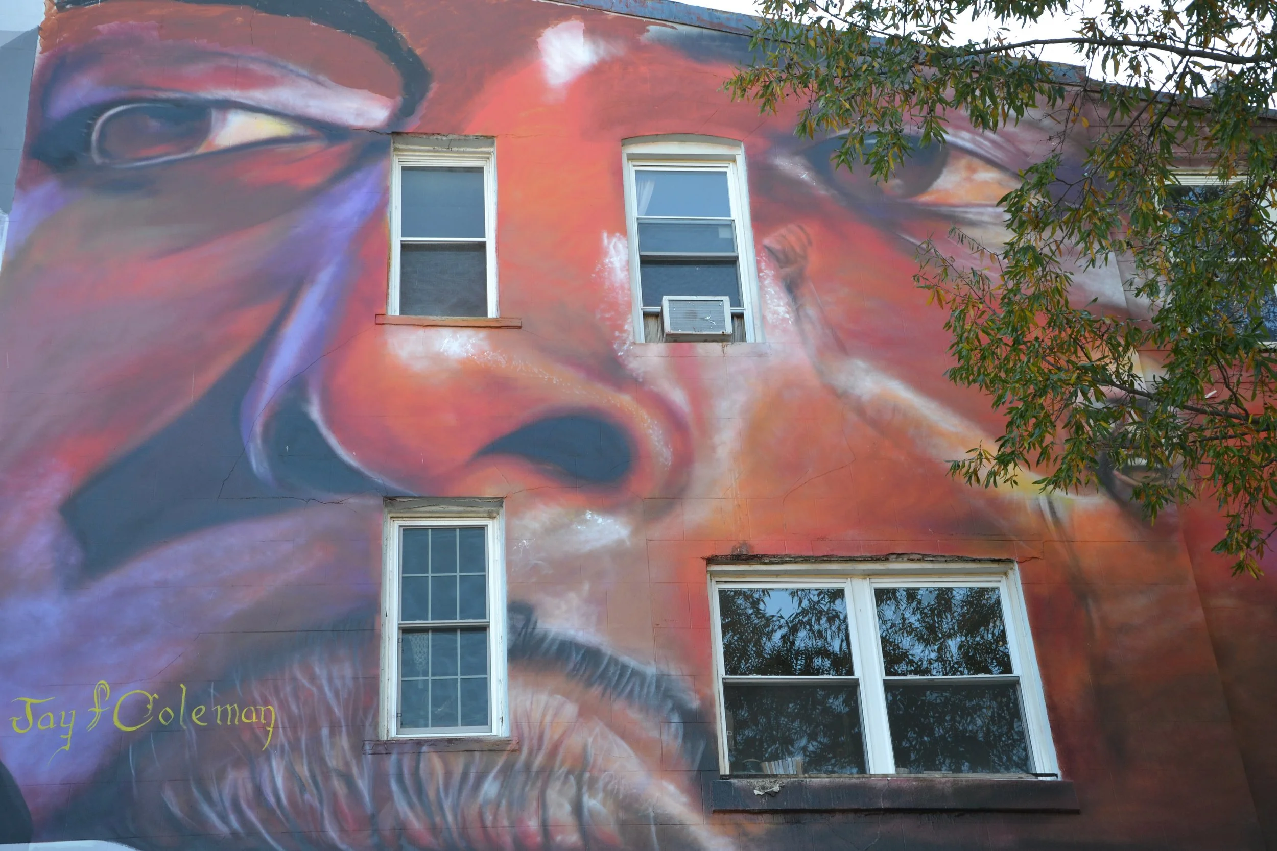 Jay F. Coleman at the Calle Libre street art festival having its edition in Washington DC bringing together Austrian and American mural artists