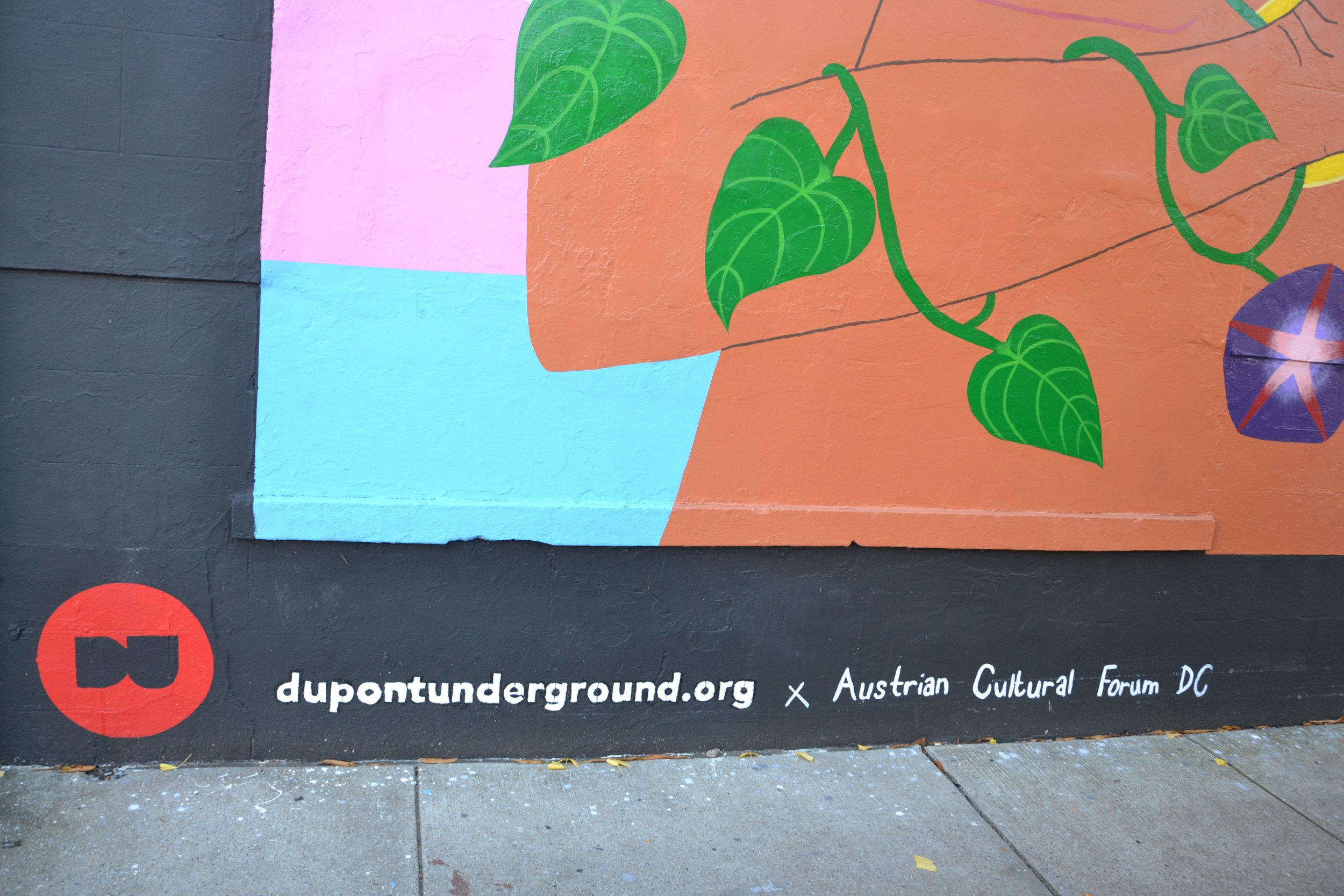 Edith Lopez-Estrada at the Calle Libre street art festival having its edition in Washington DC bringing together Austrian and American mural artists