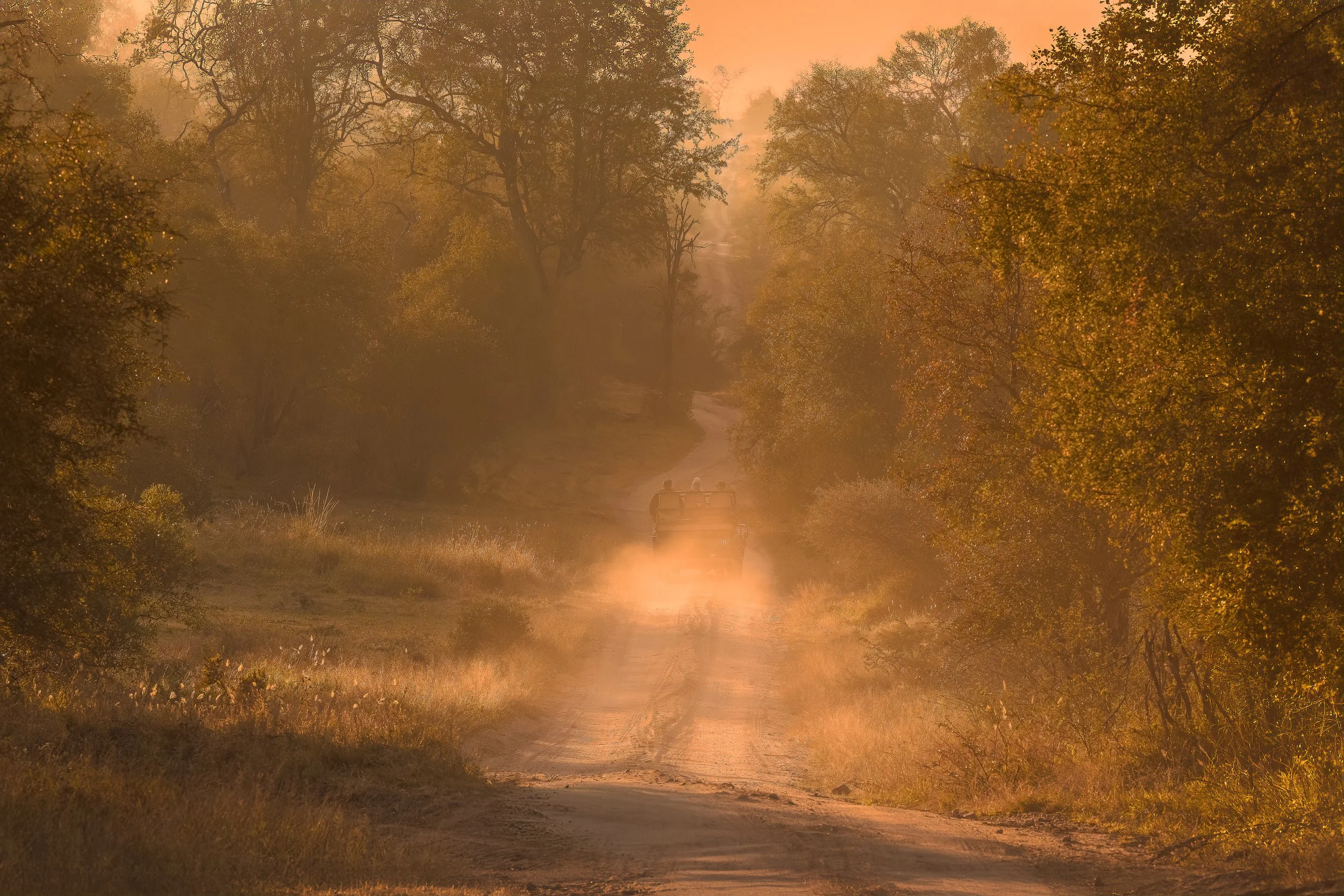 APK Hero Image - African Bush Sunrise Drive