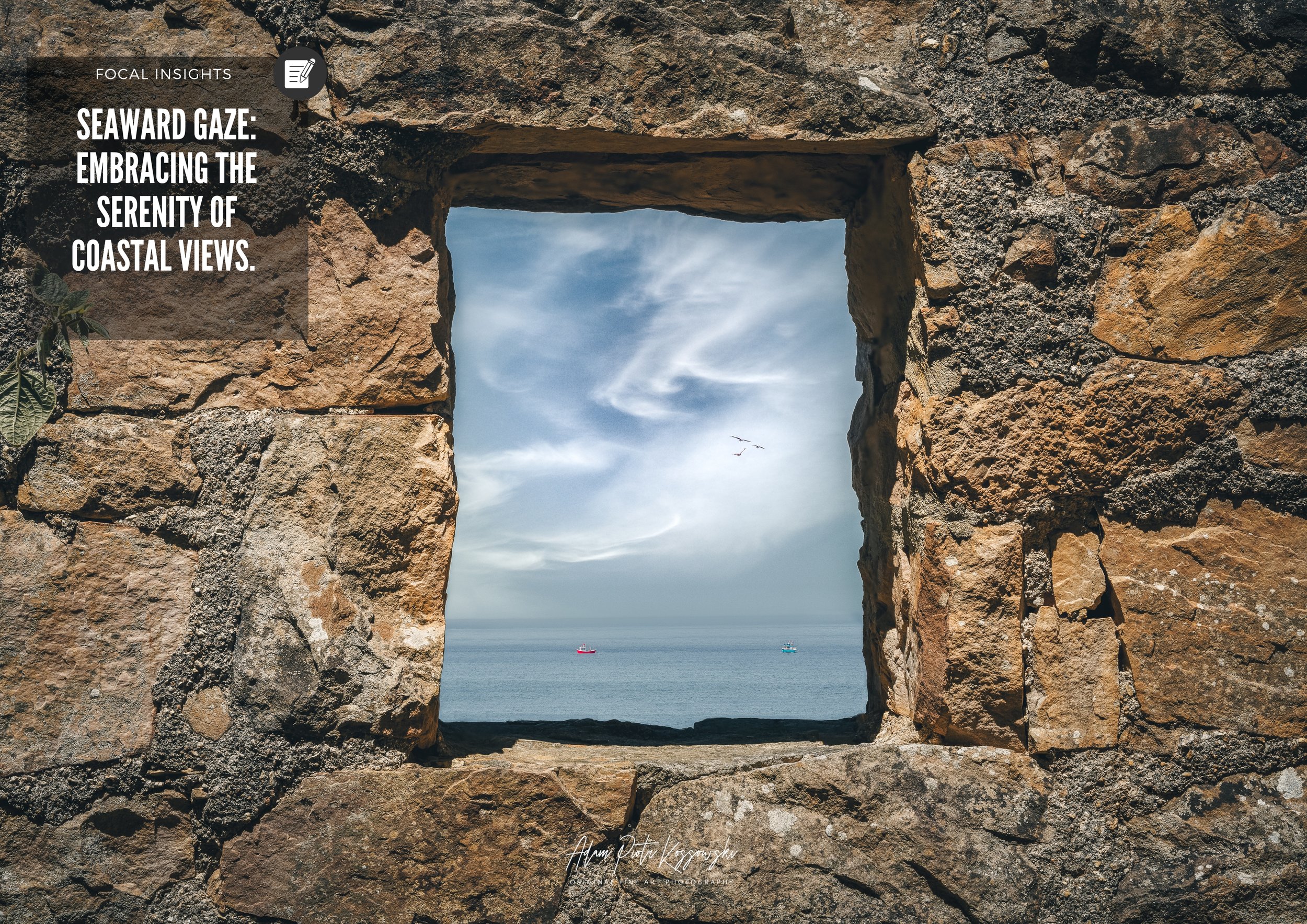 Seaward Gaze: Embracing the Serenity of Coastal Views