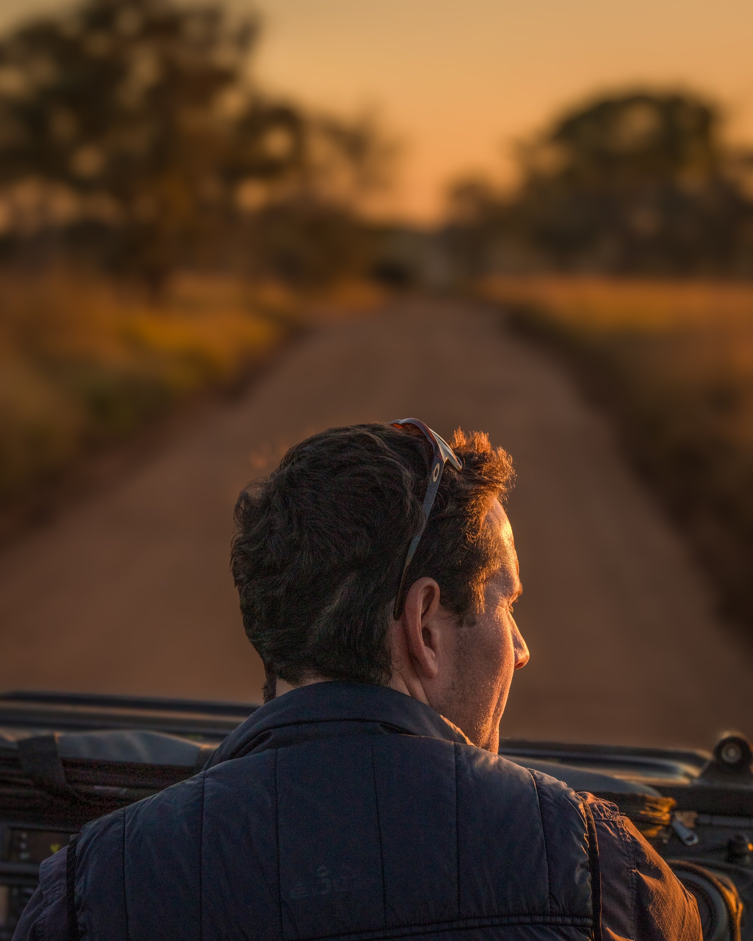 APK - Raw Africa Collection - Landscape - Game Drive - The Guide