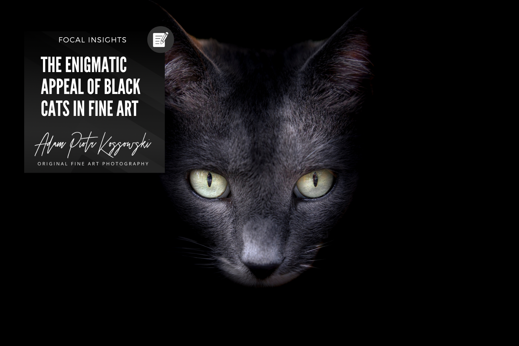 The Enigmatic Appeal of Black Cats in Fine Art