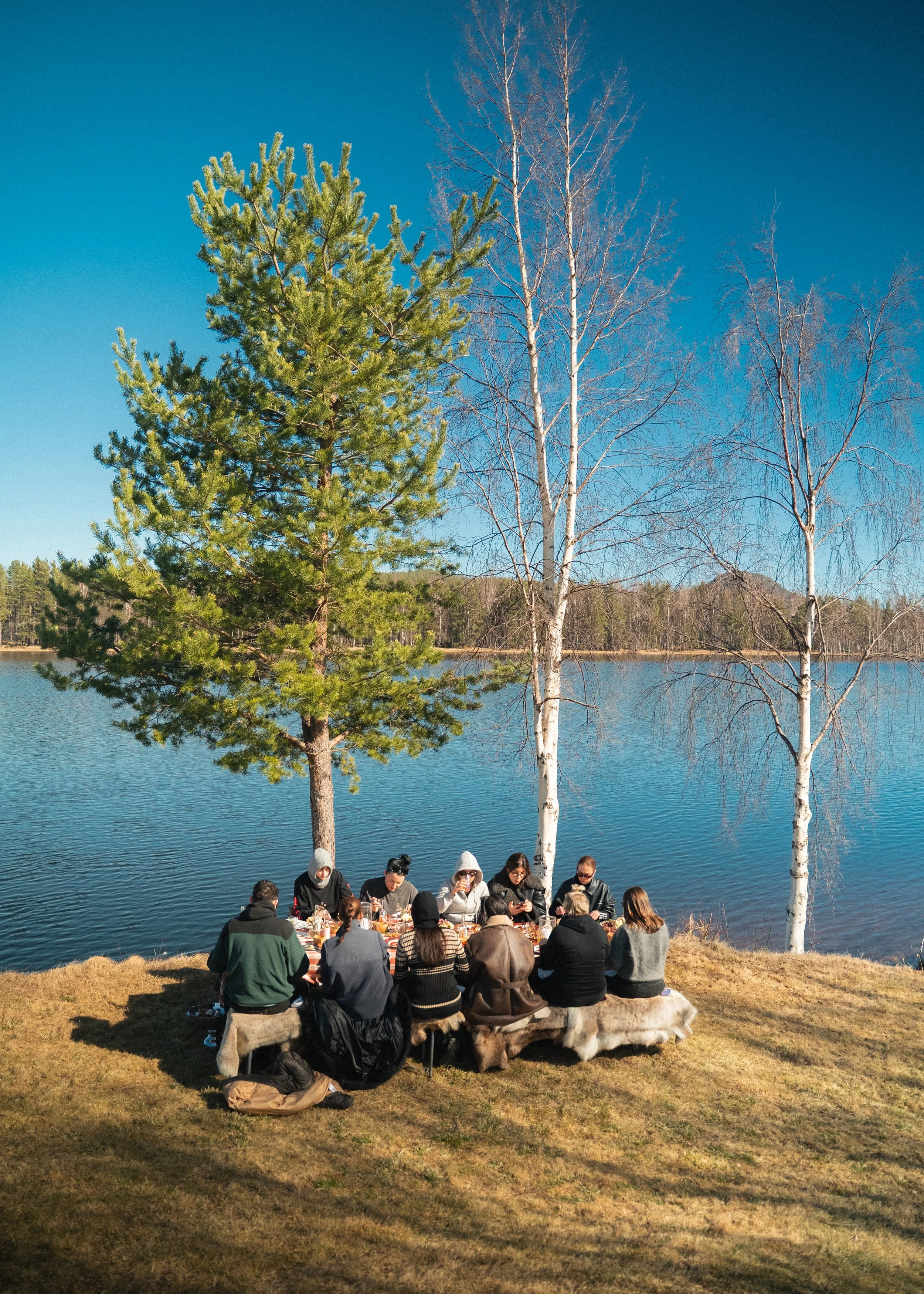 A journey for the soul with Lynk &amp; Co in Järvsö