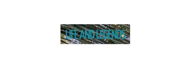 Life and Legends published two of Donna Baier Stein’s poems in an issue guest-edited by Melissa Studdard