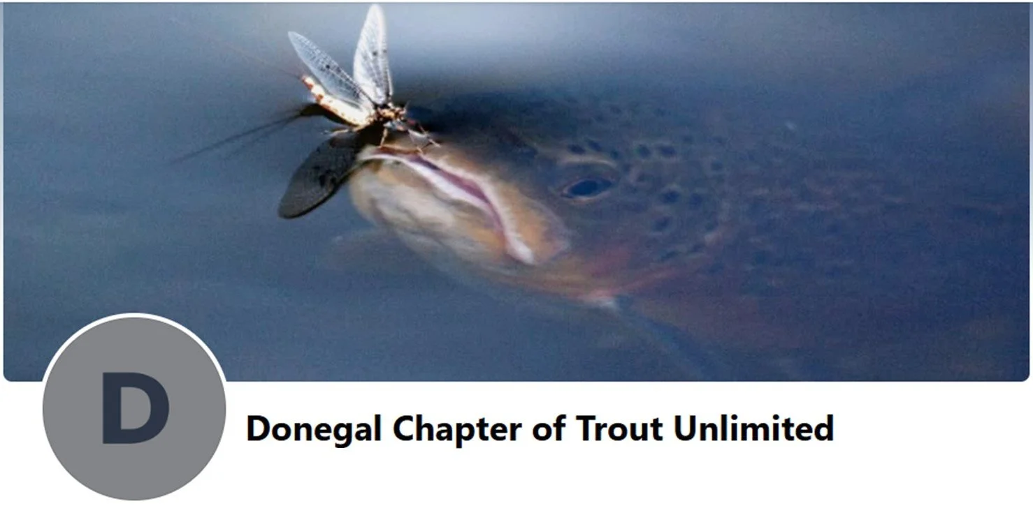 New DTU Facebook Page!